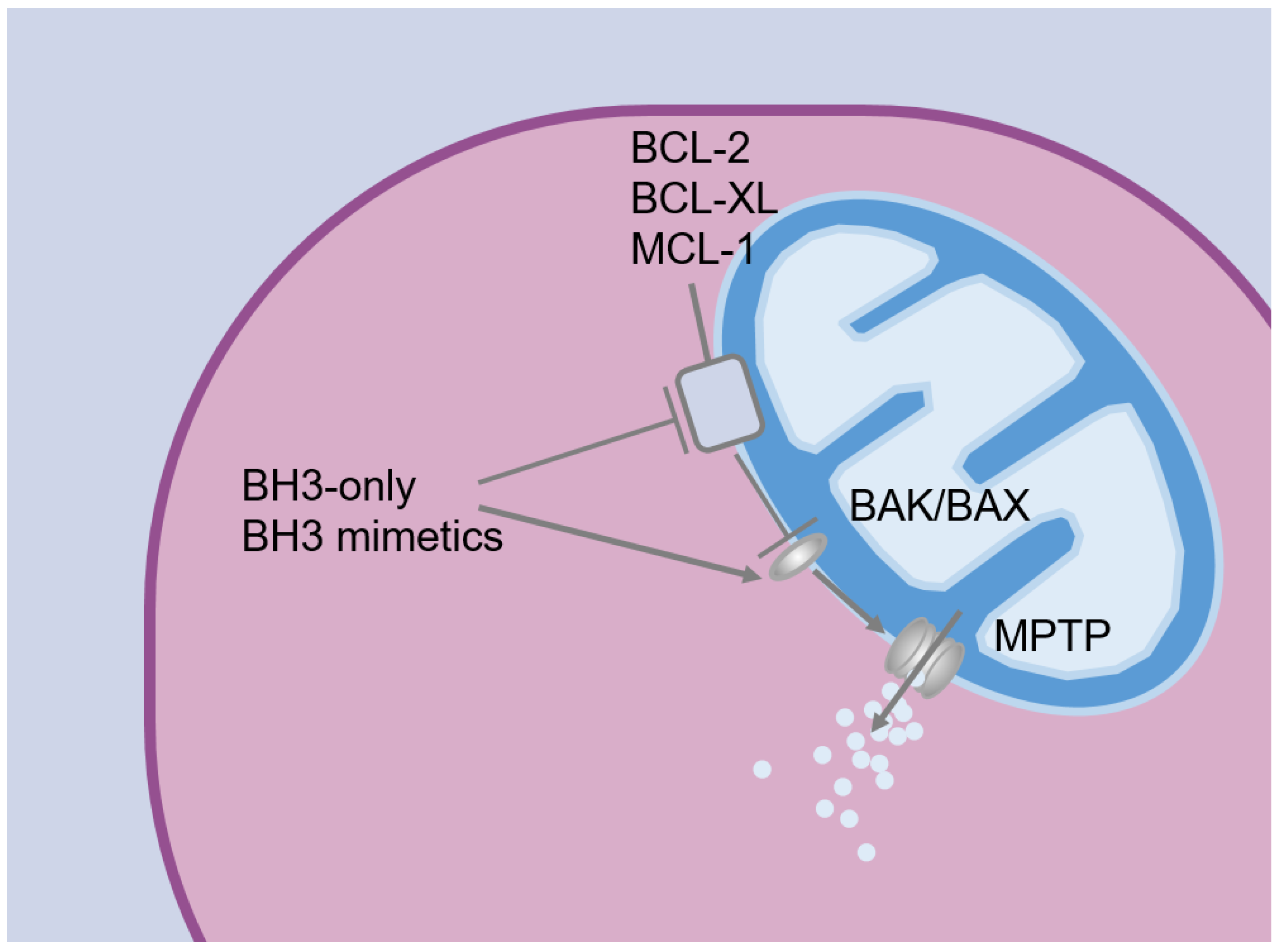 Pharmaceuticals 17 00484 g001
