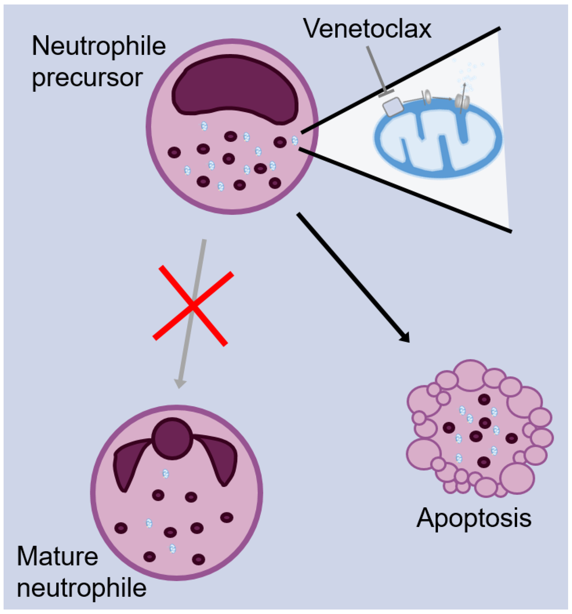Pharmaceuticals 17 00484 g002
