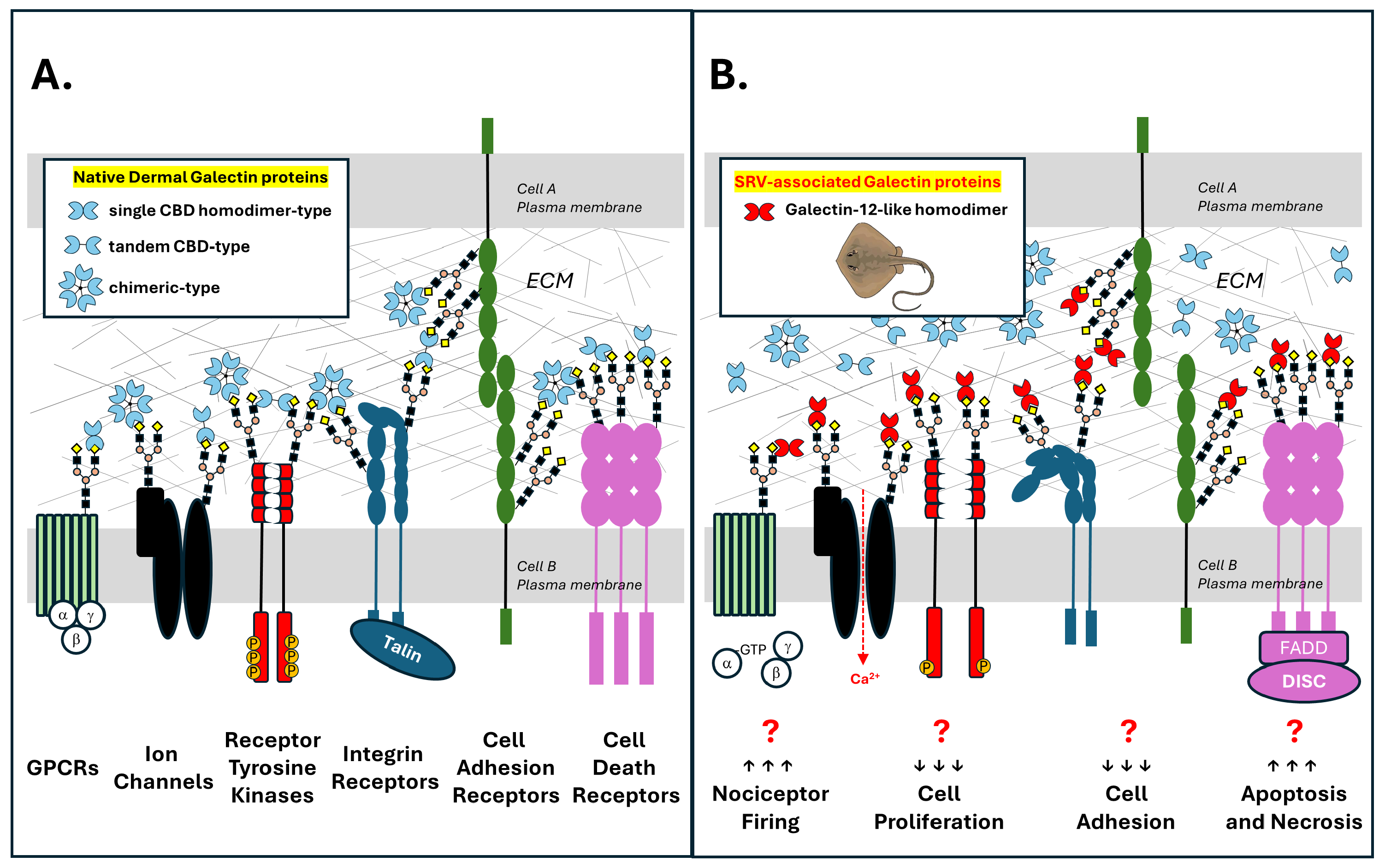 Pharmaceuticals 17 00488 g008