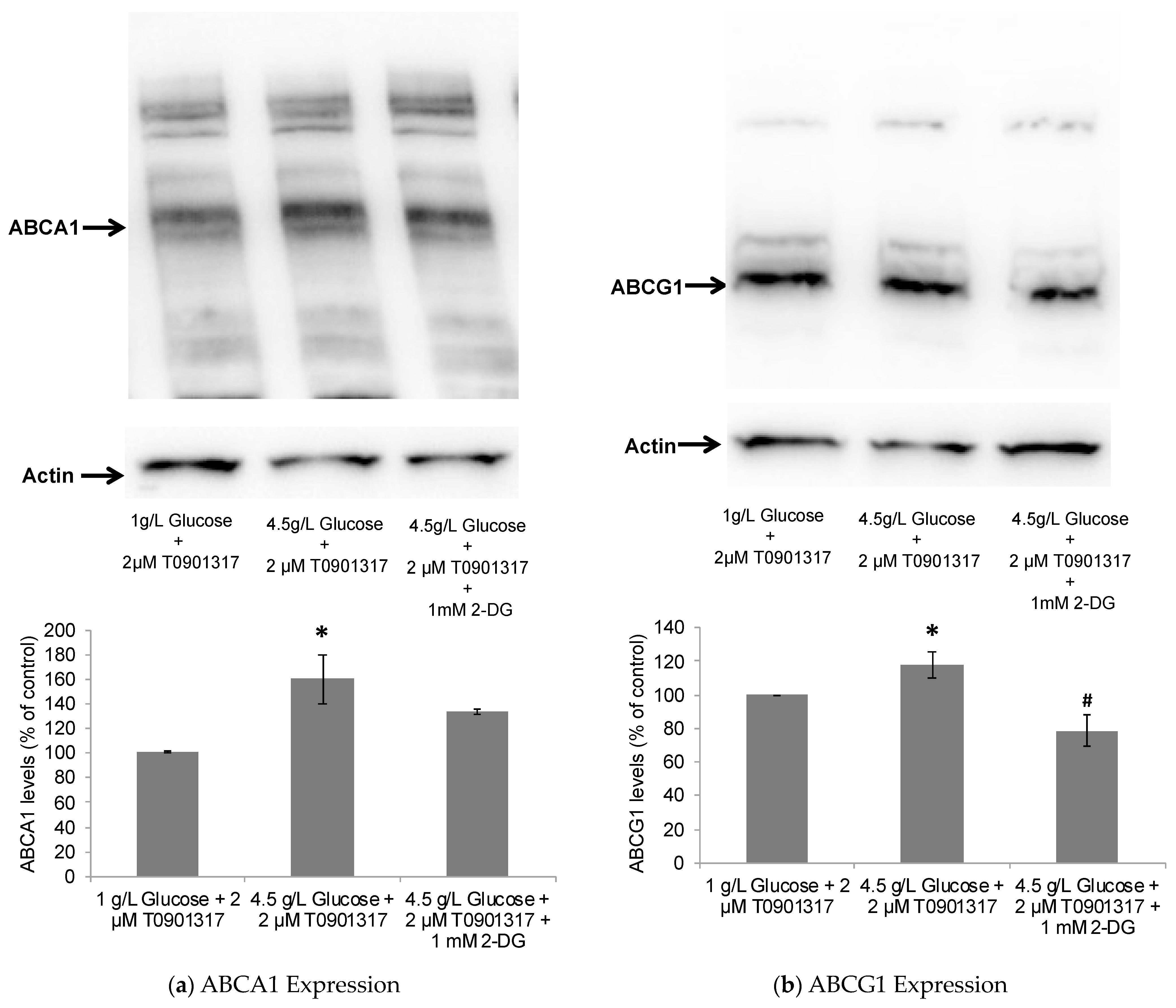 Pharmaceuticals 17 00491 g004 Pharmaceuticals 17 00491 g004
