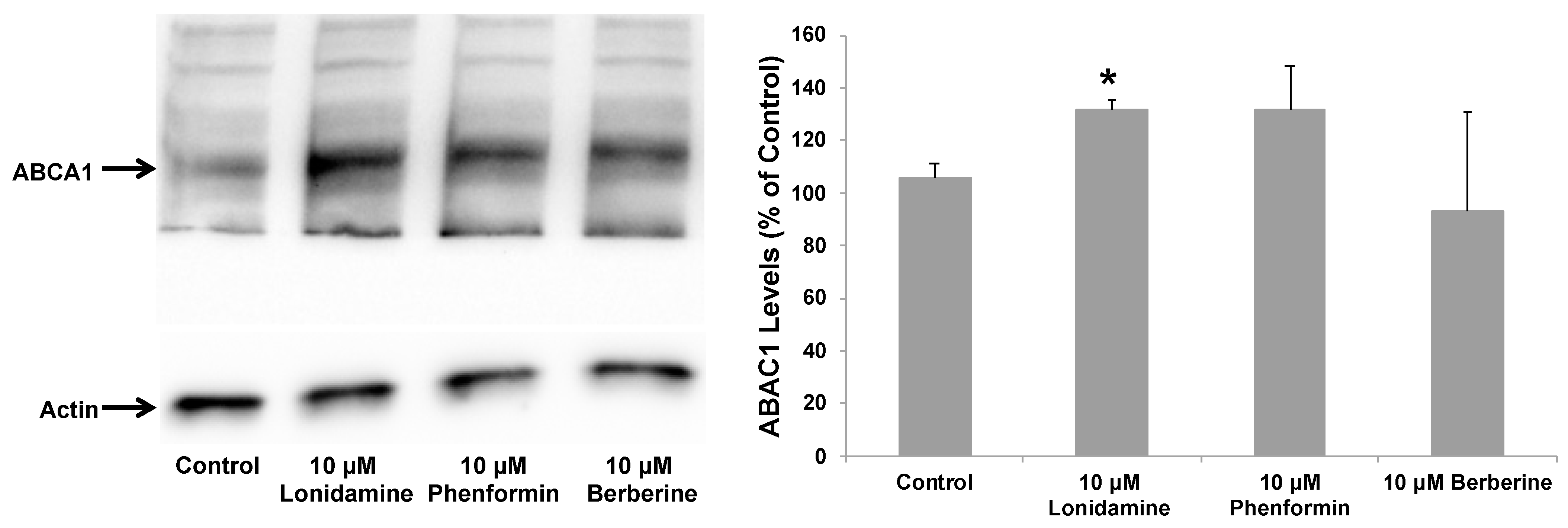Pharmaceuticals 17 00491 g007 Pharmaceuticals 17 00491 g007