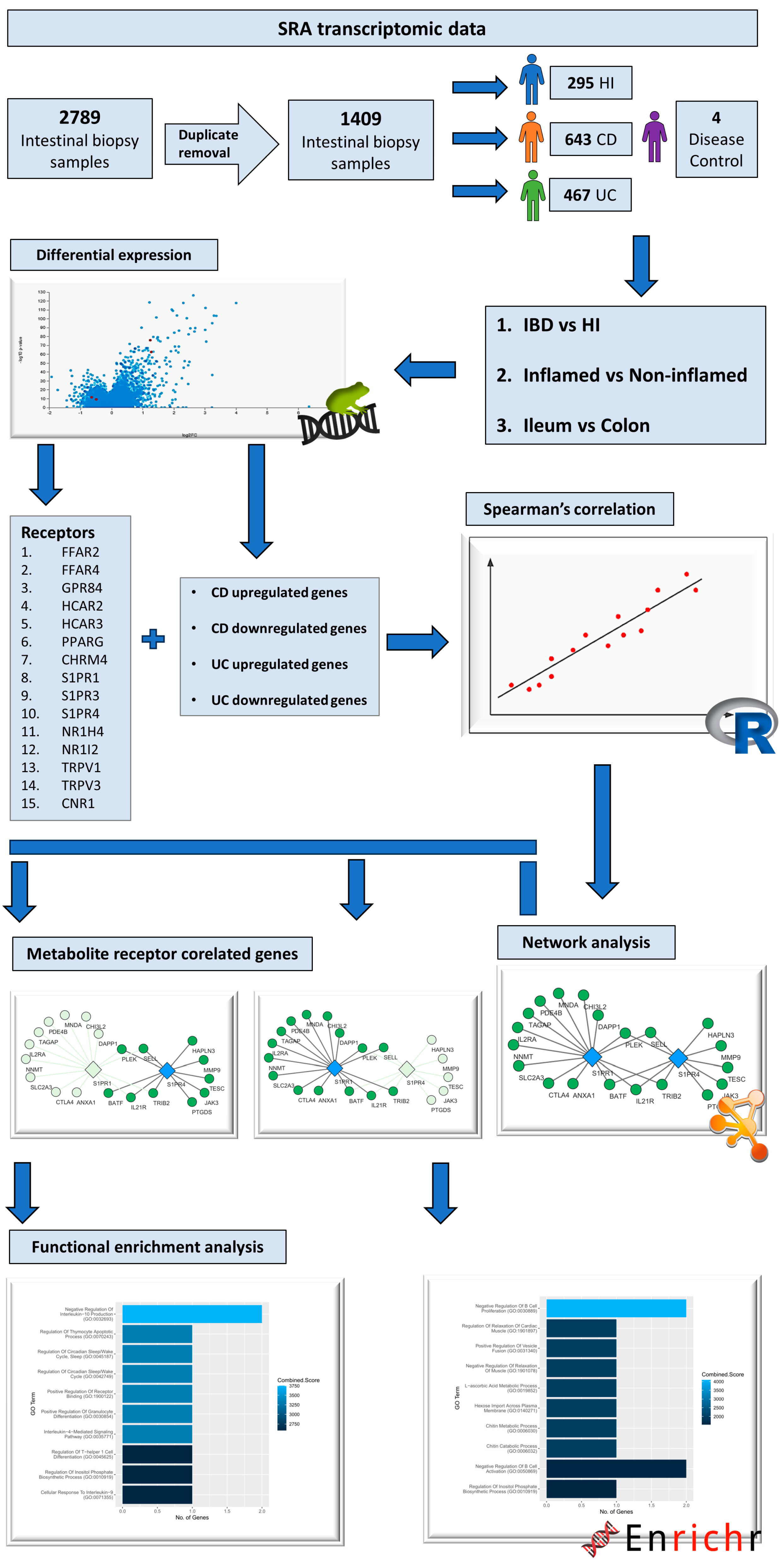 Pharmaceuticals 17 00492 g006