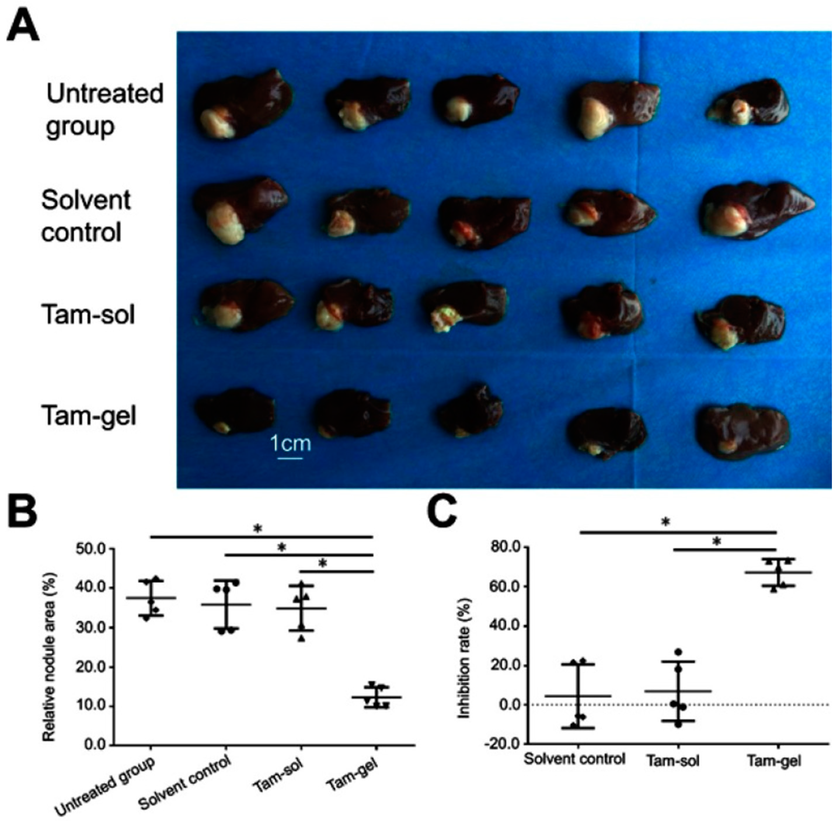 Pharmaceuticals 17 00493 g001