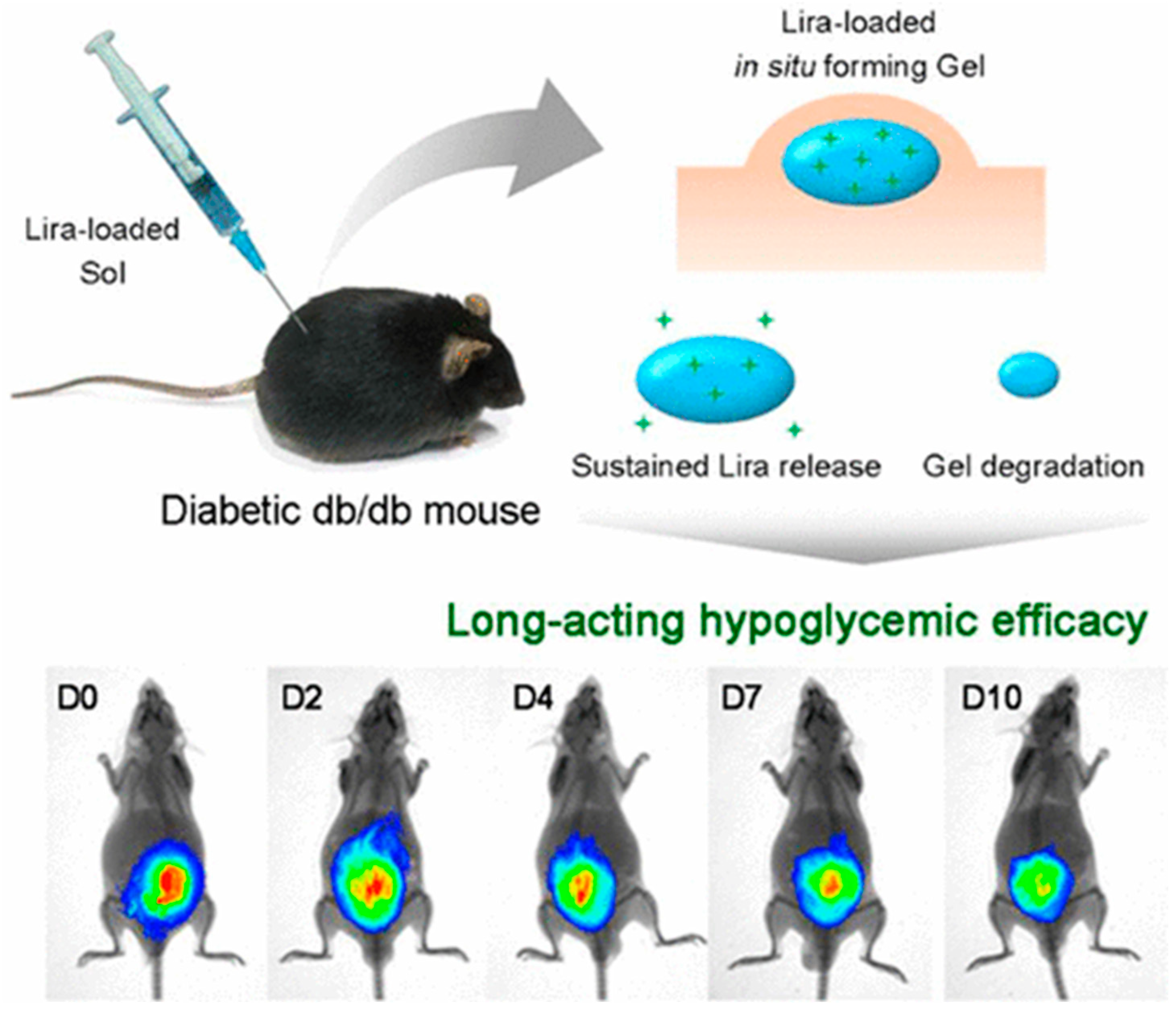 Pharmaceuticals 17 00493 g002