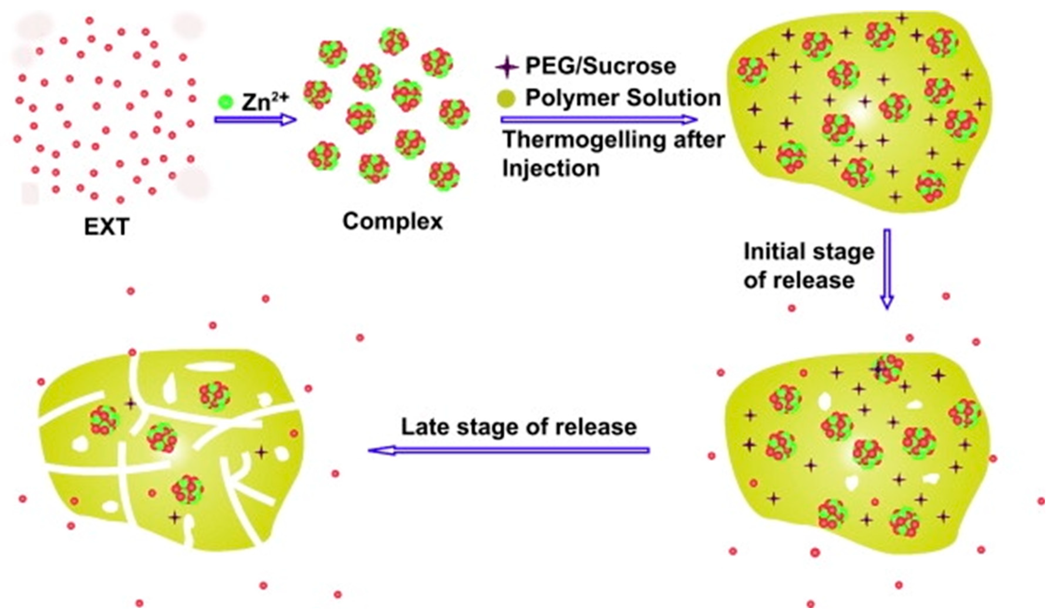 Pharmaceuticals 17 00493 g003