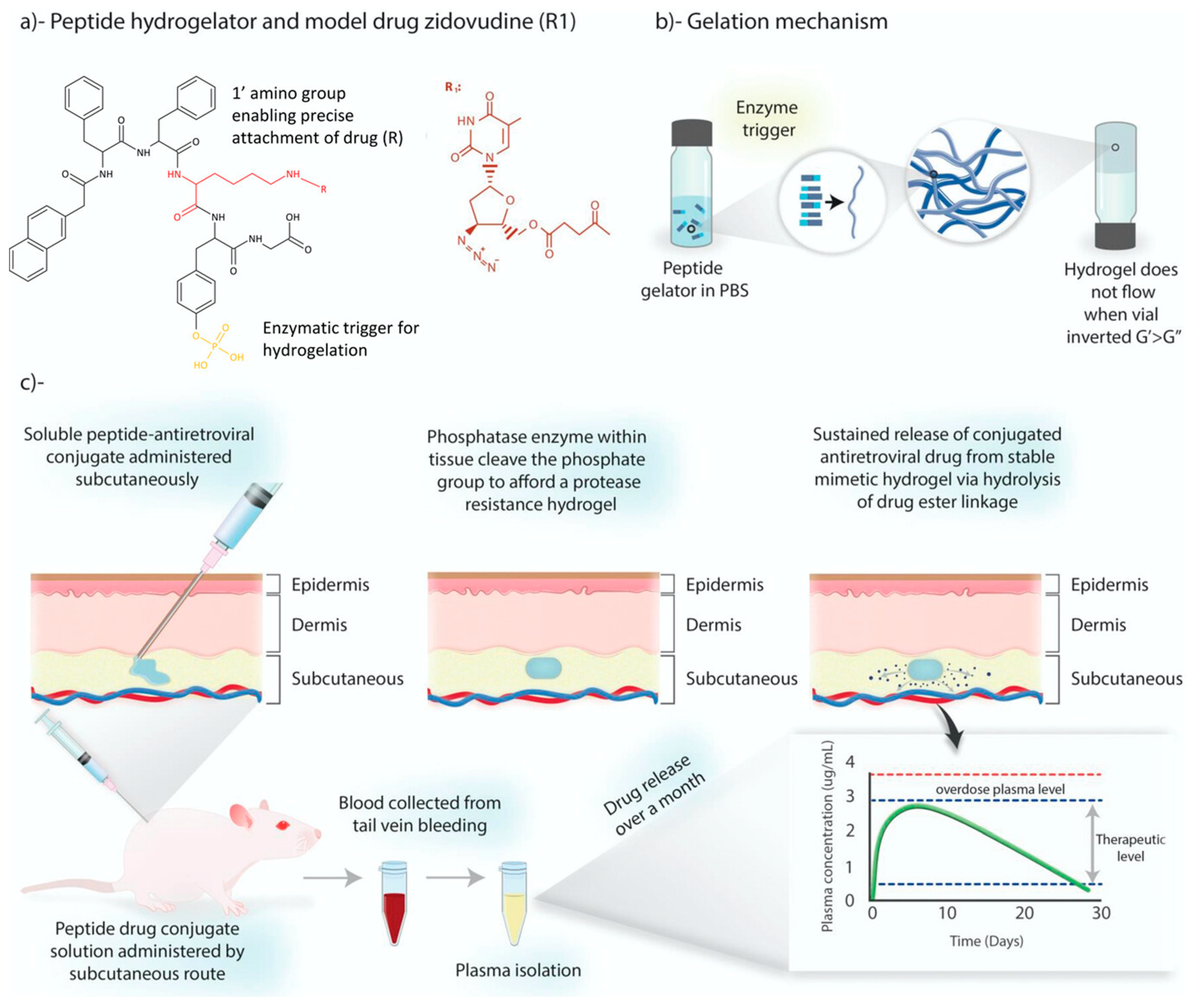 Pharmaceuticals 17 00493 g005