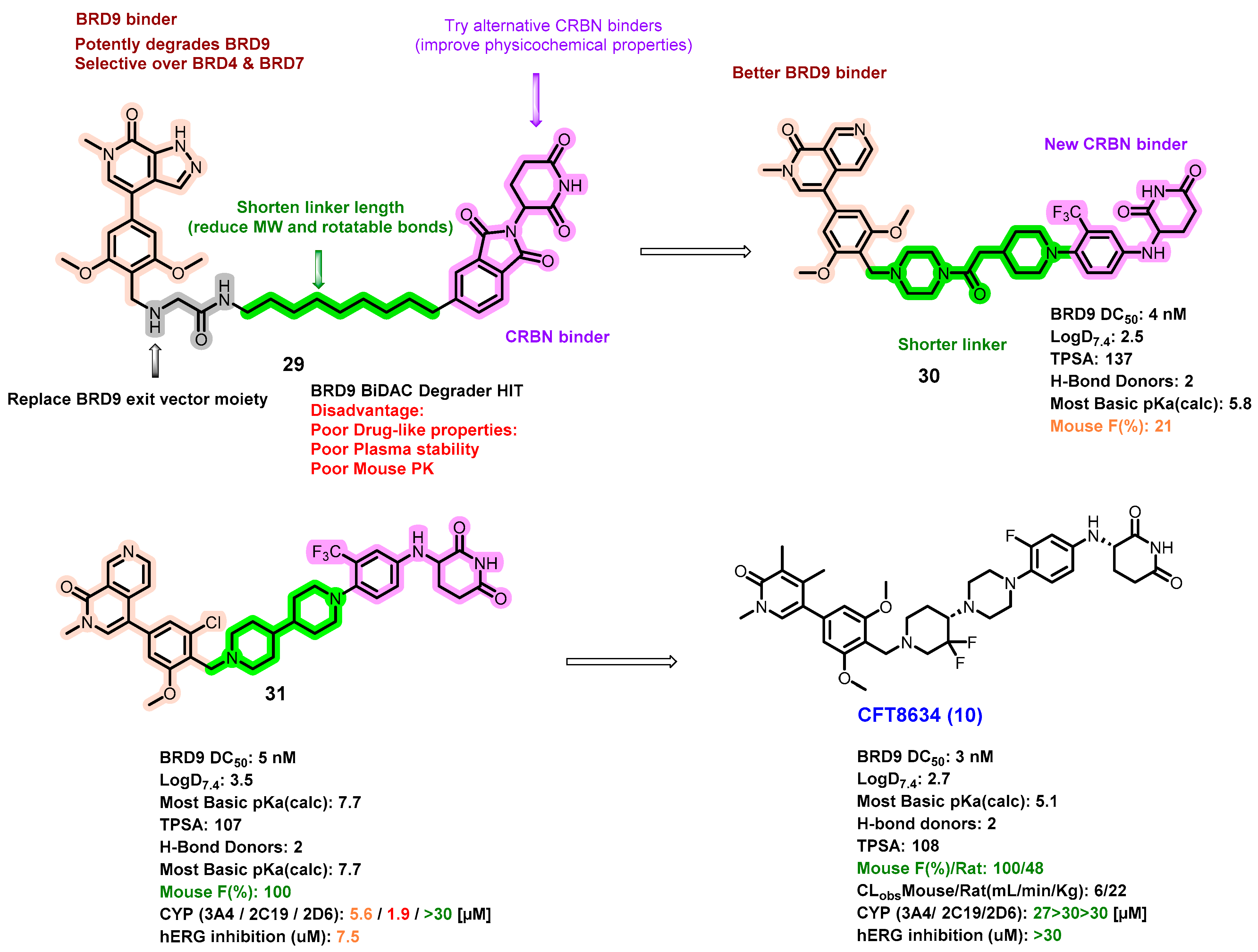 Pharmaceuticals 17 00494 g015