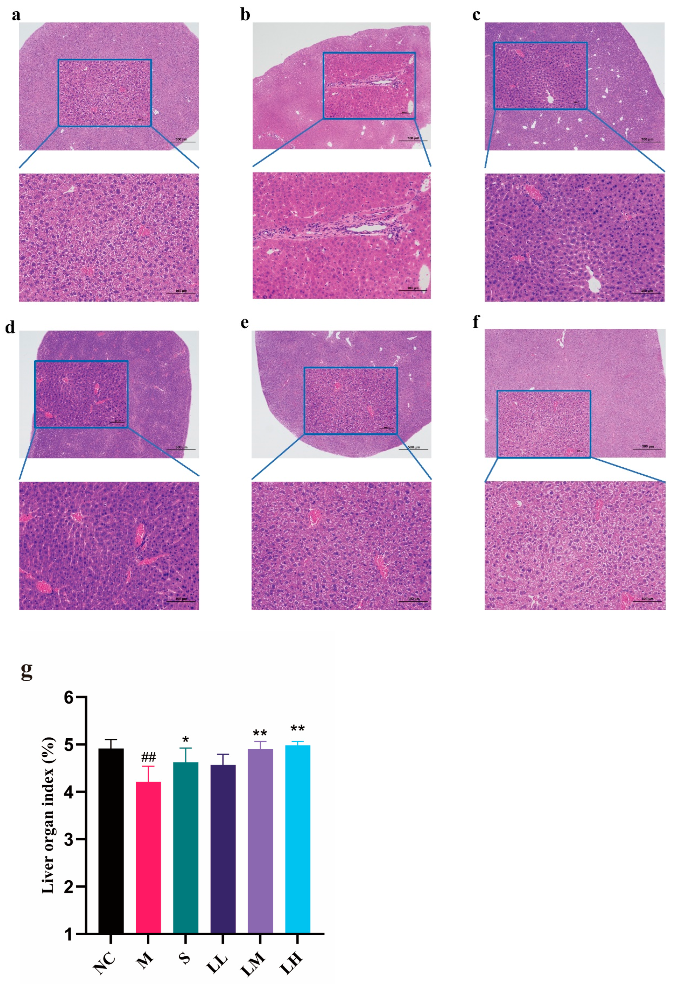 Pharmaceuticals 17 00497 g001