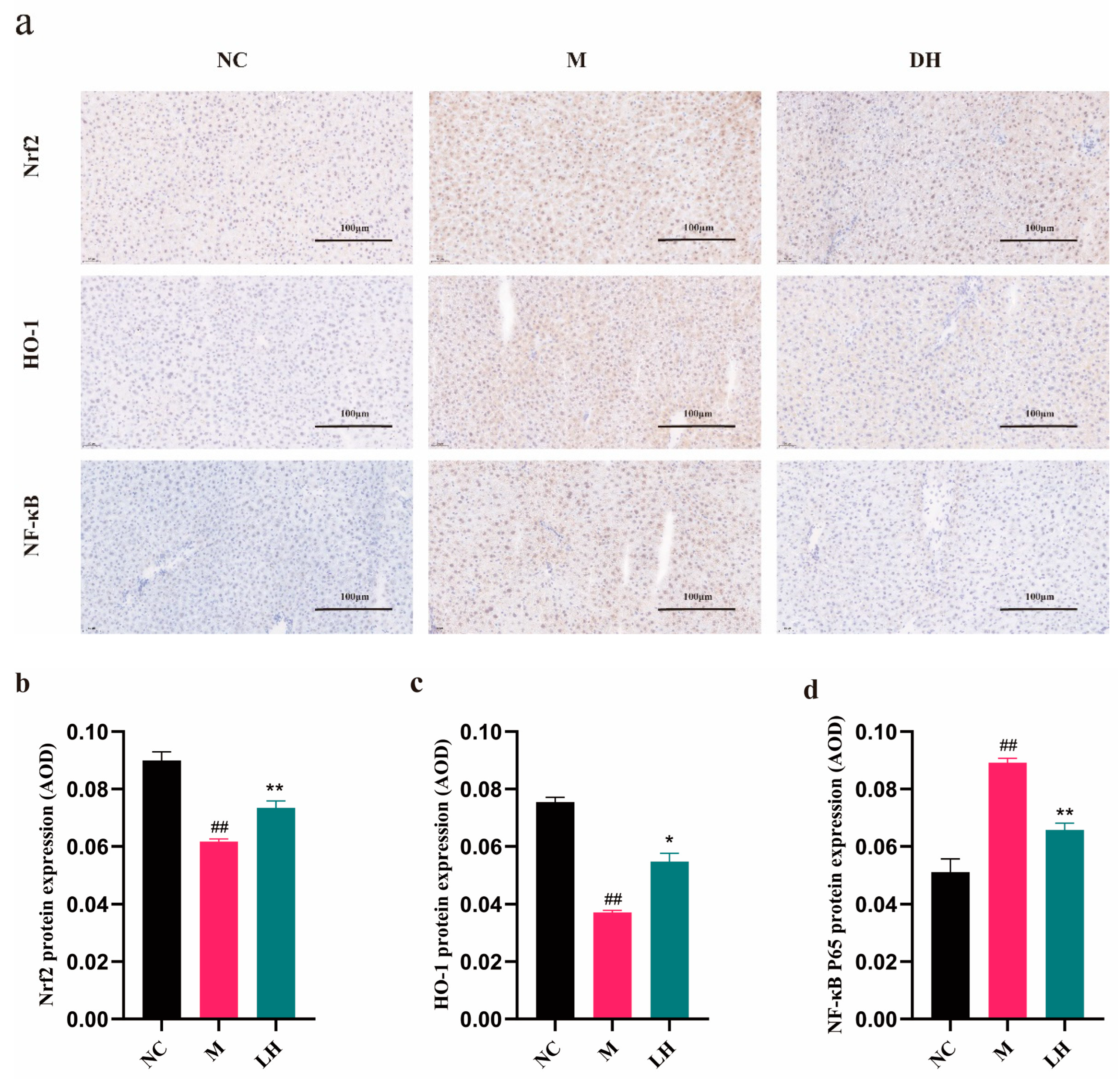 Pharmaceuticals 17 00497 g007