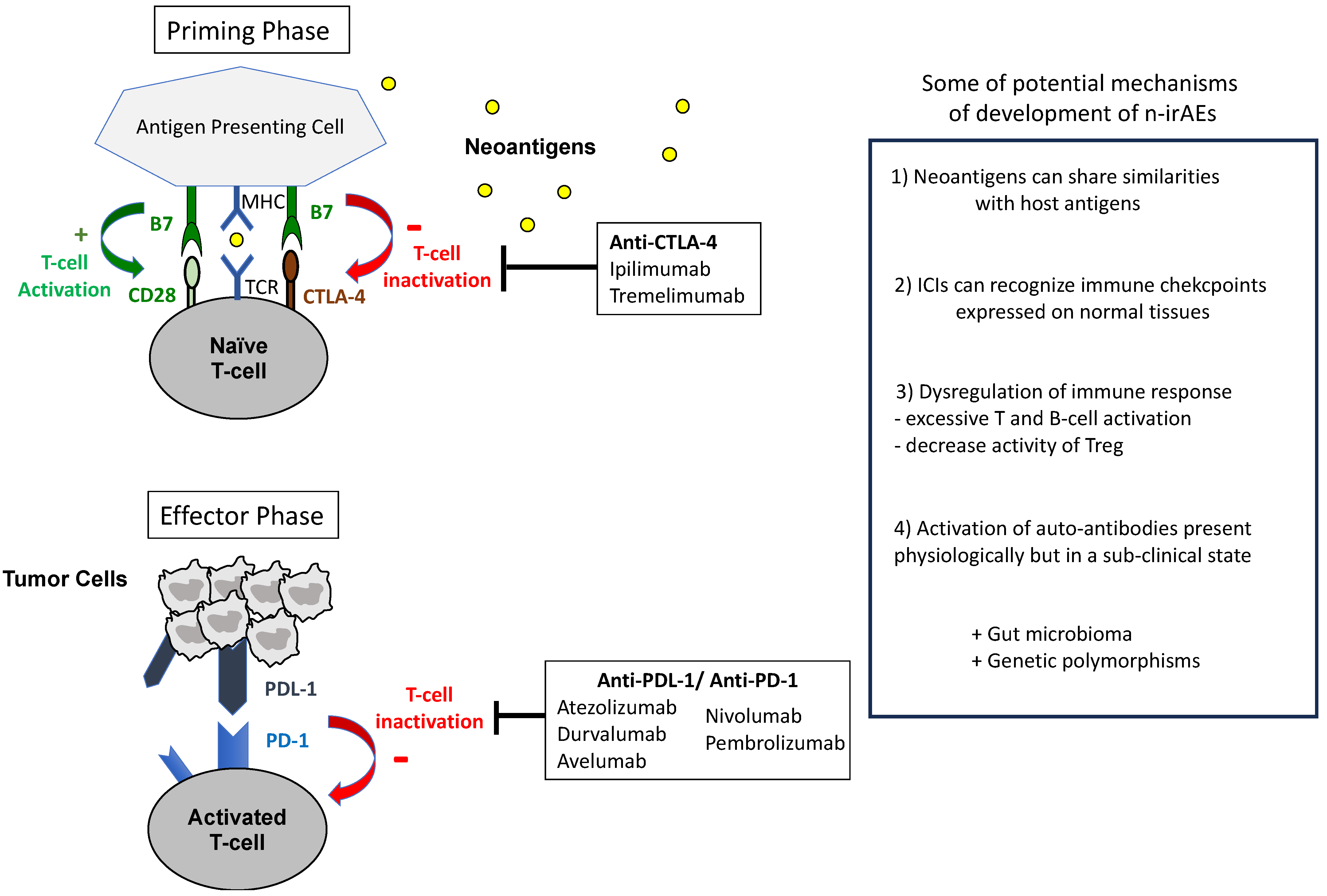Pharmaceuticals 17 00501 g001