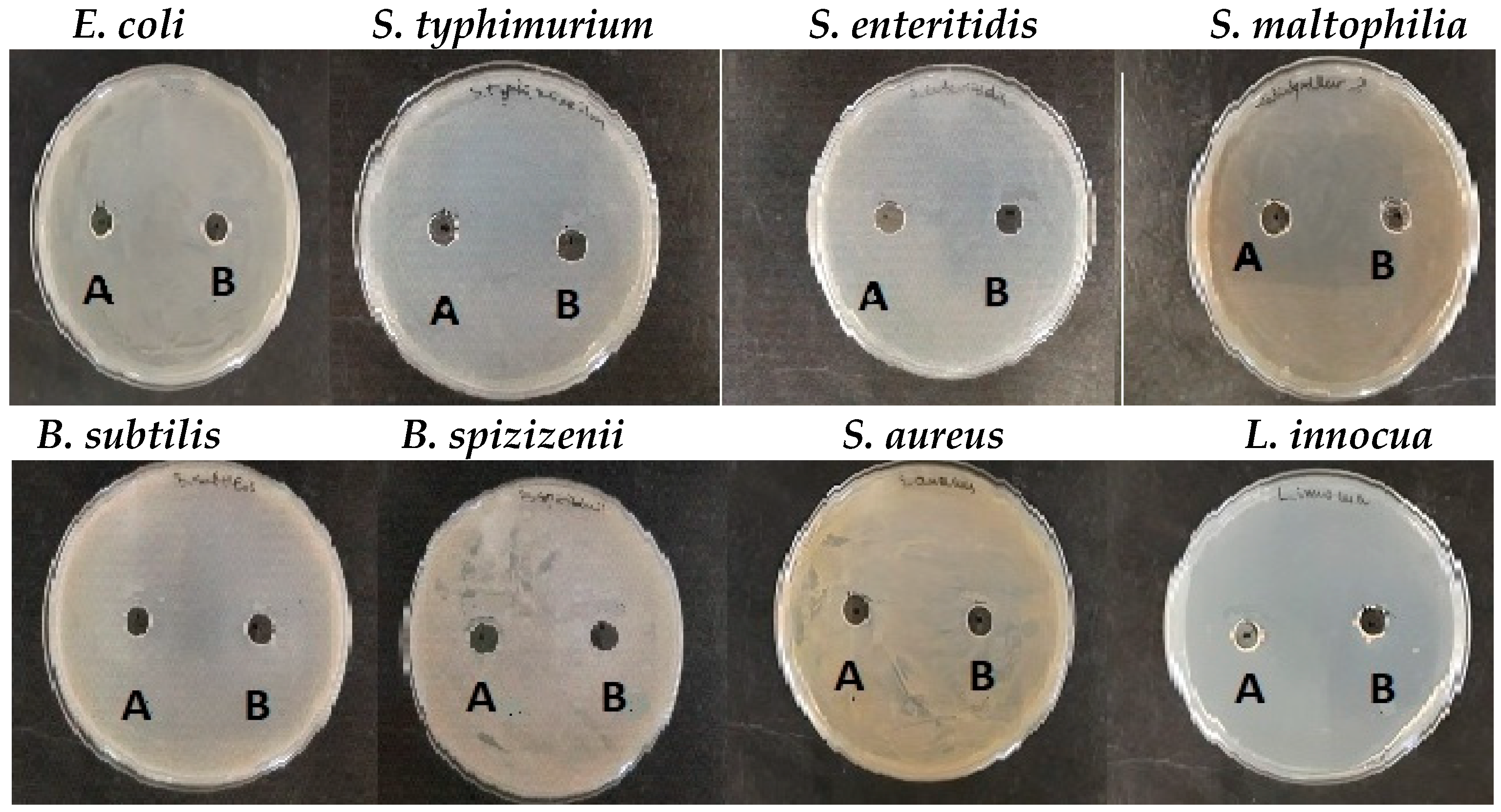 Pharmaceuticals 17 00506 g012