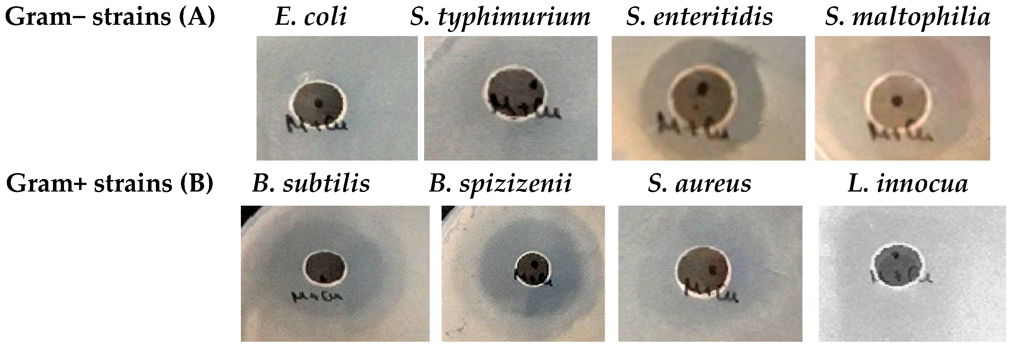 Pharmaceuticals 17 00506 g013