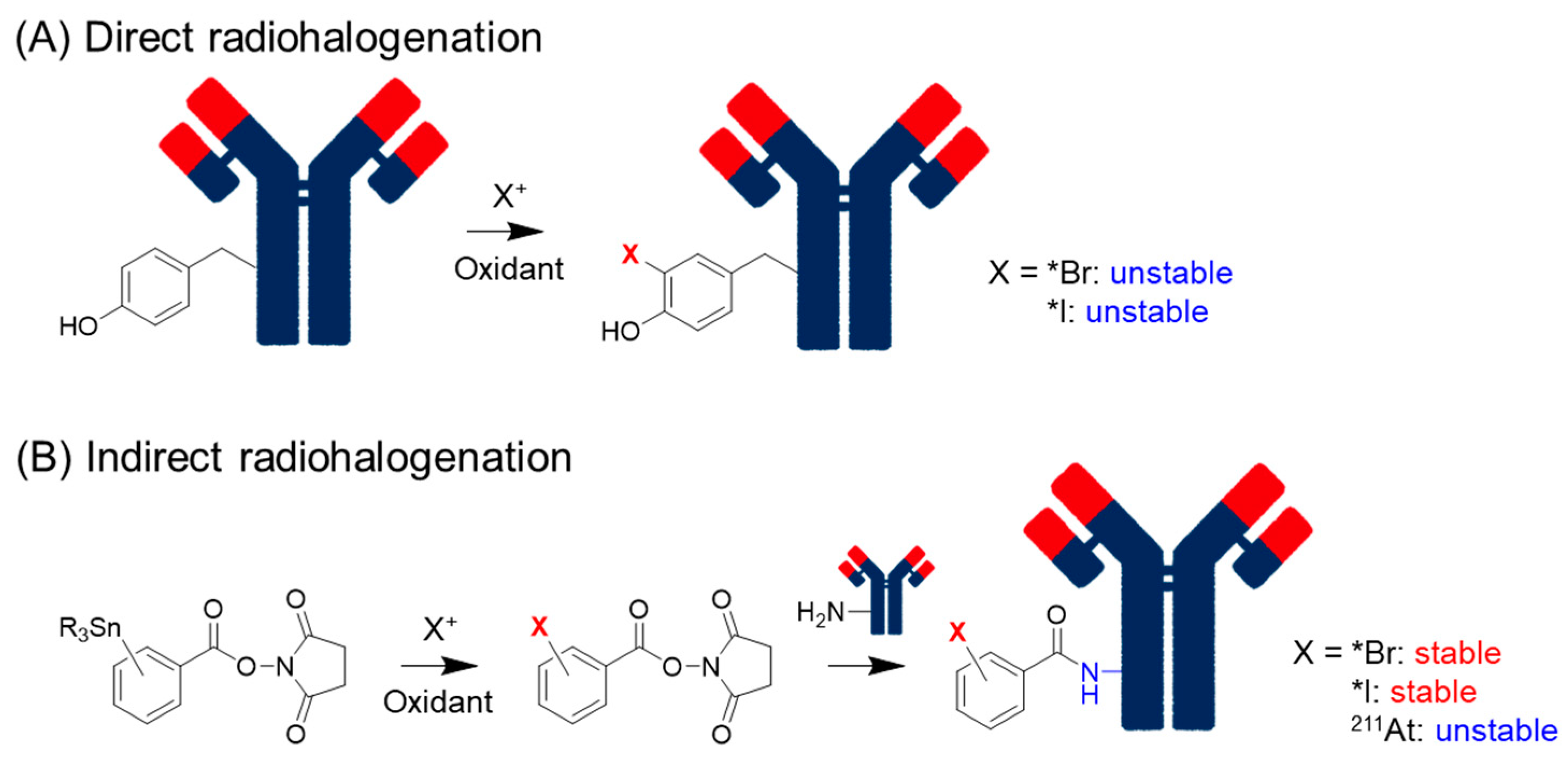 Pharmaceuticals 17 00508 g001