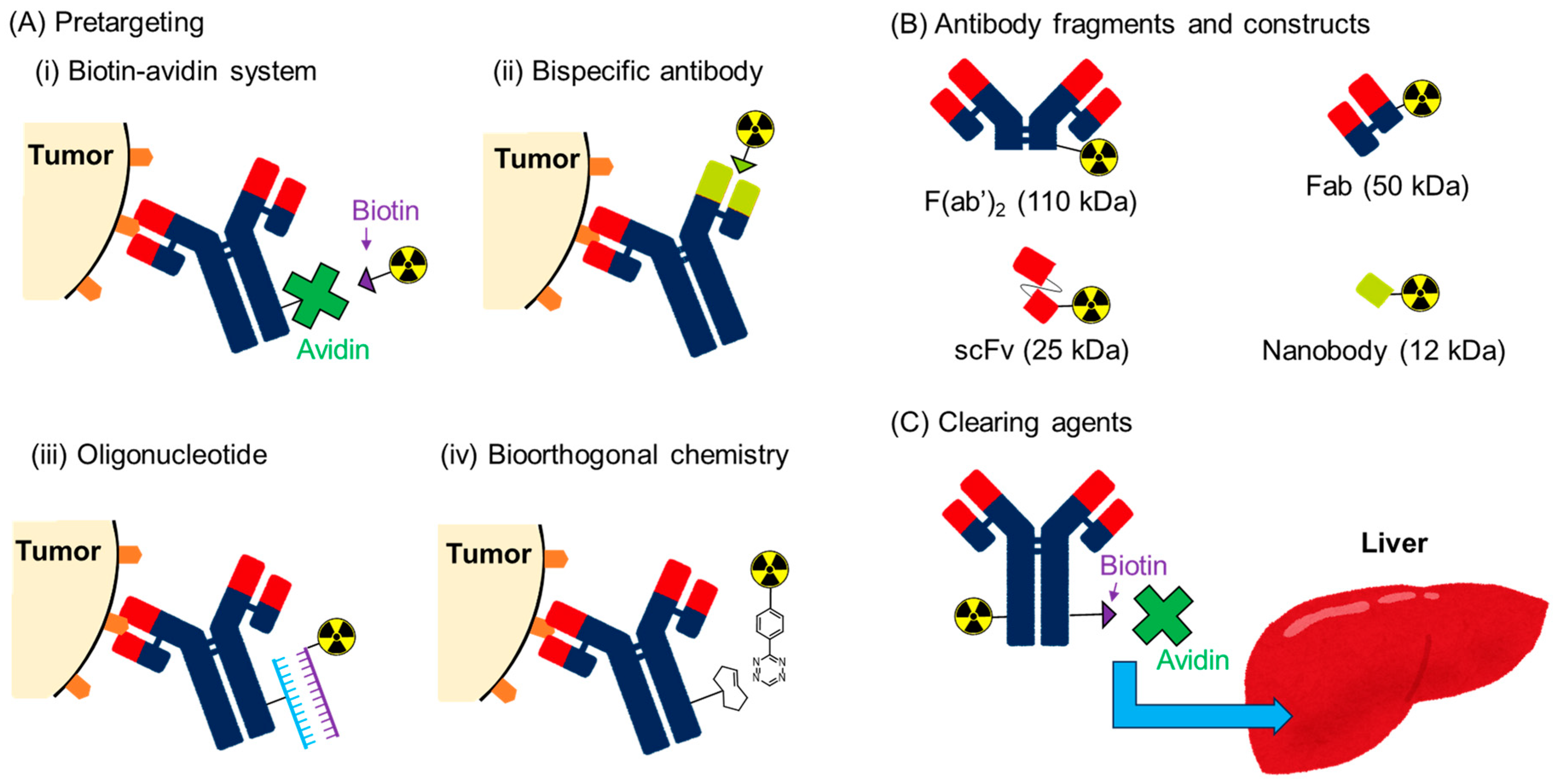 Pharmaceuticals 17 00508 g004