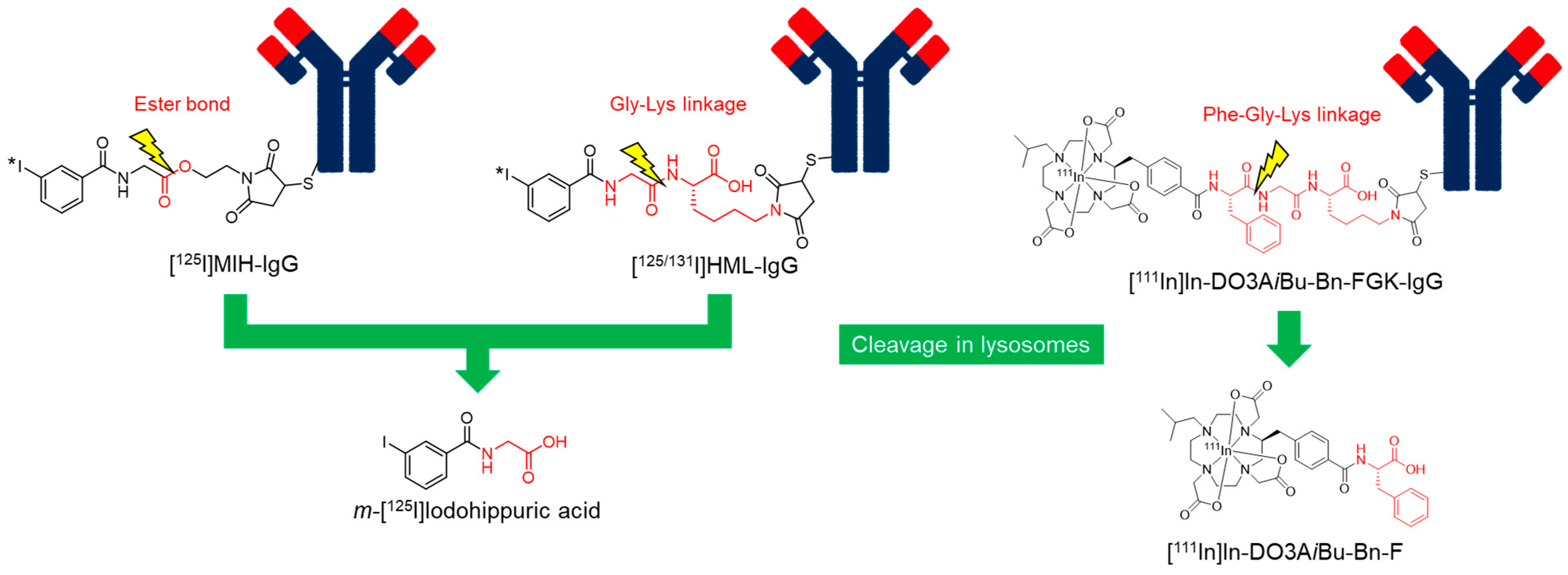 Pharmaceuticals 17 00508 g005