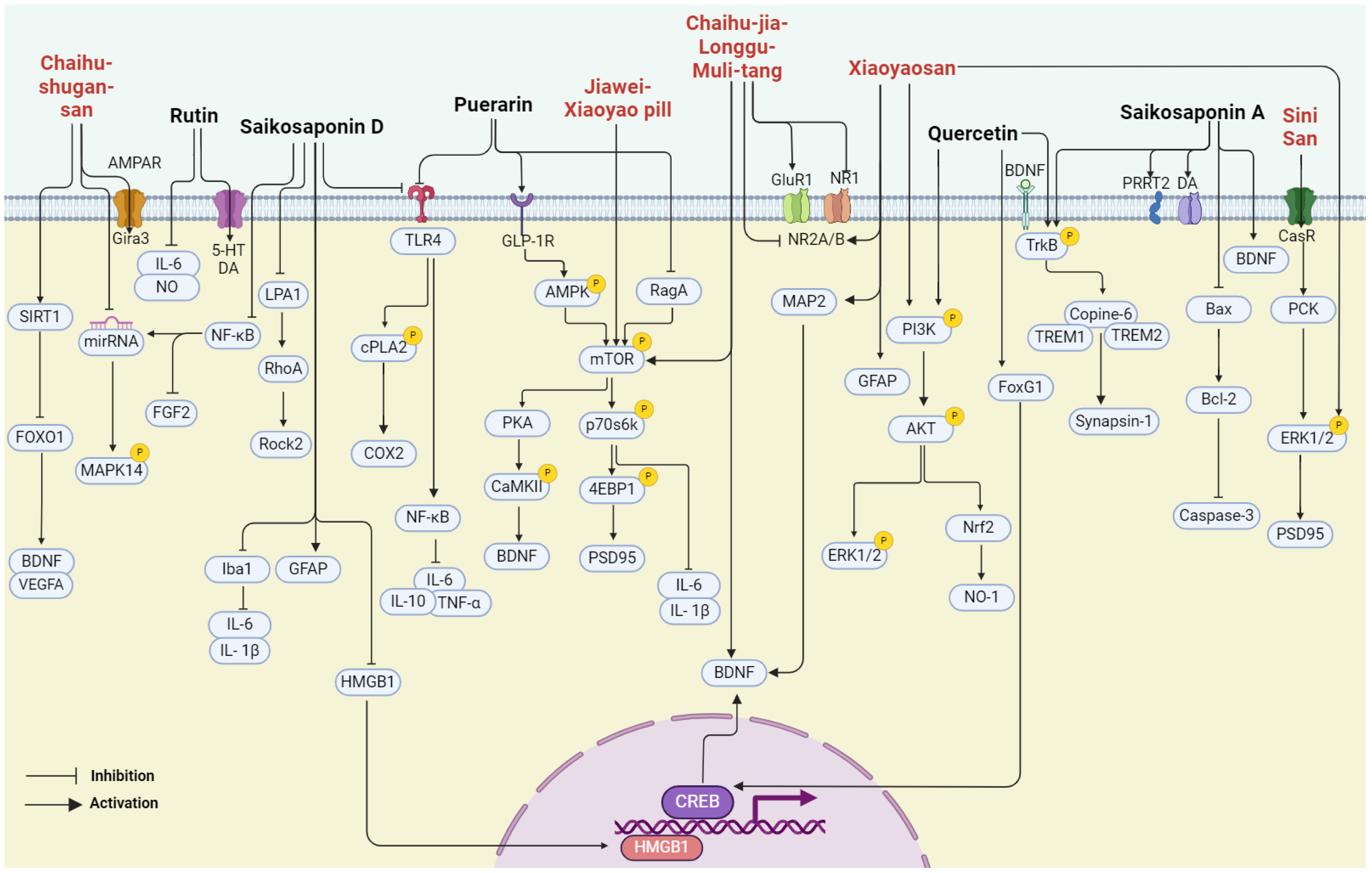 Pharmaceuticals 17 00512 g003