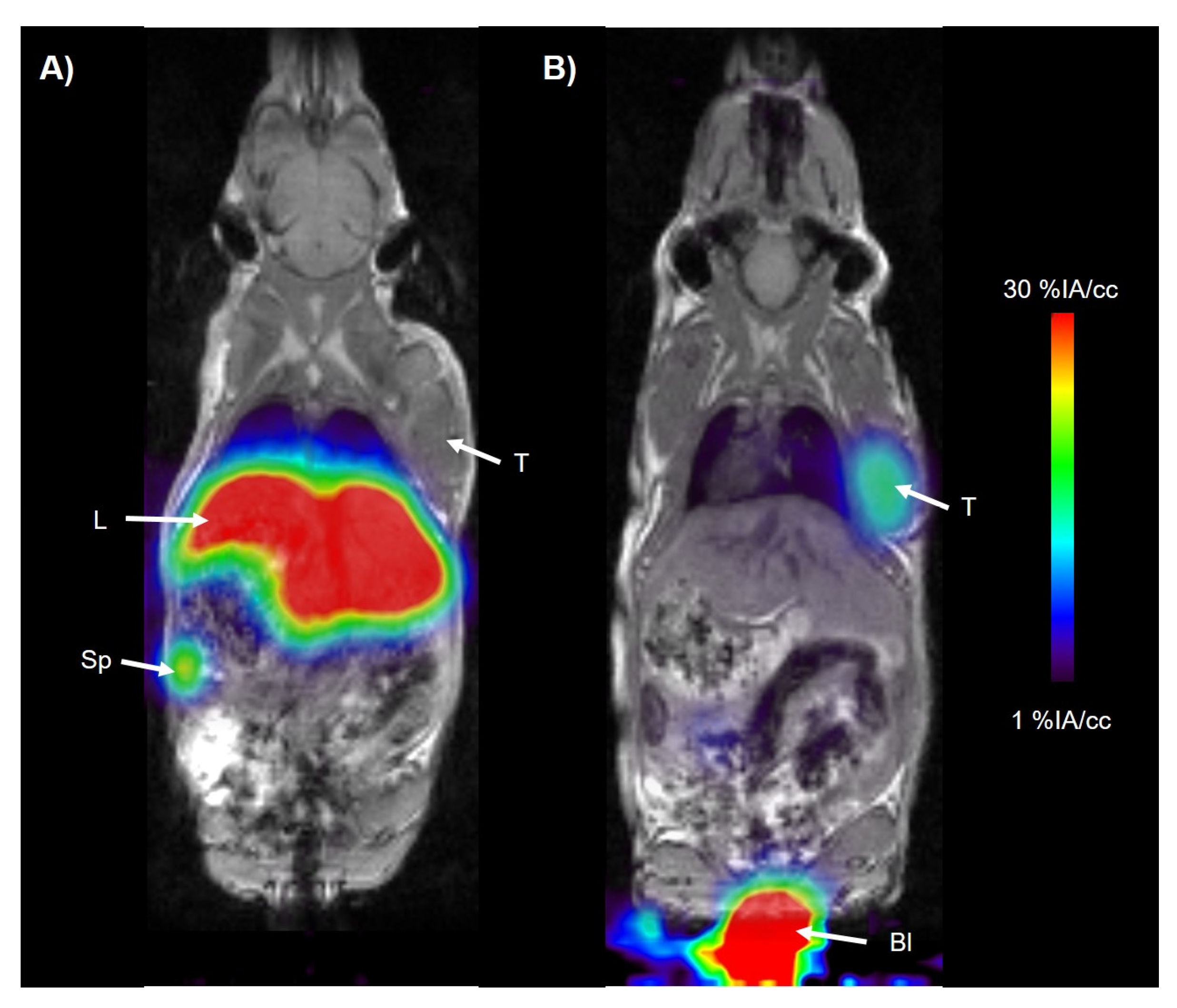 Pharmaceuticals 17 00514 g002