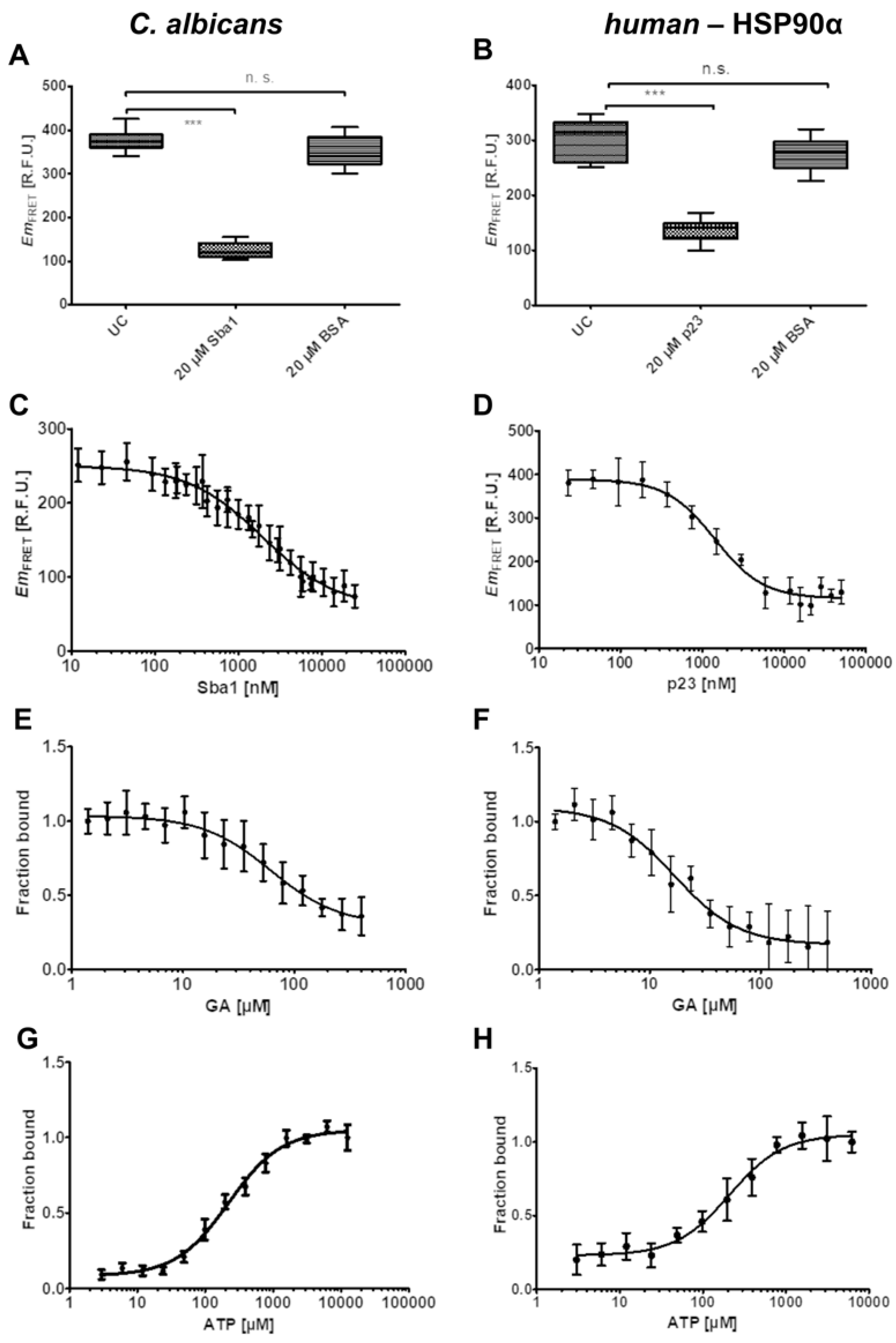 Pharmaceuticals 17 00516 g003