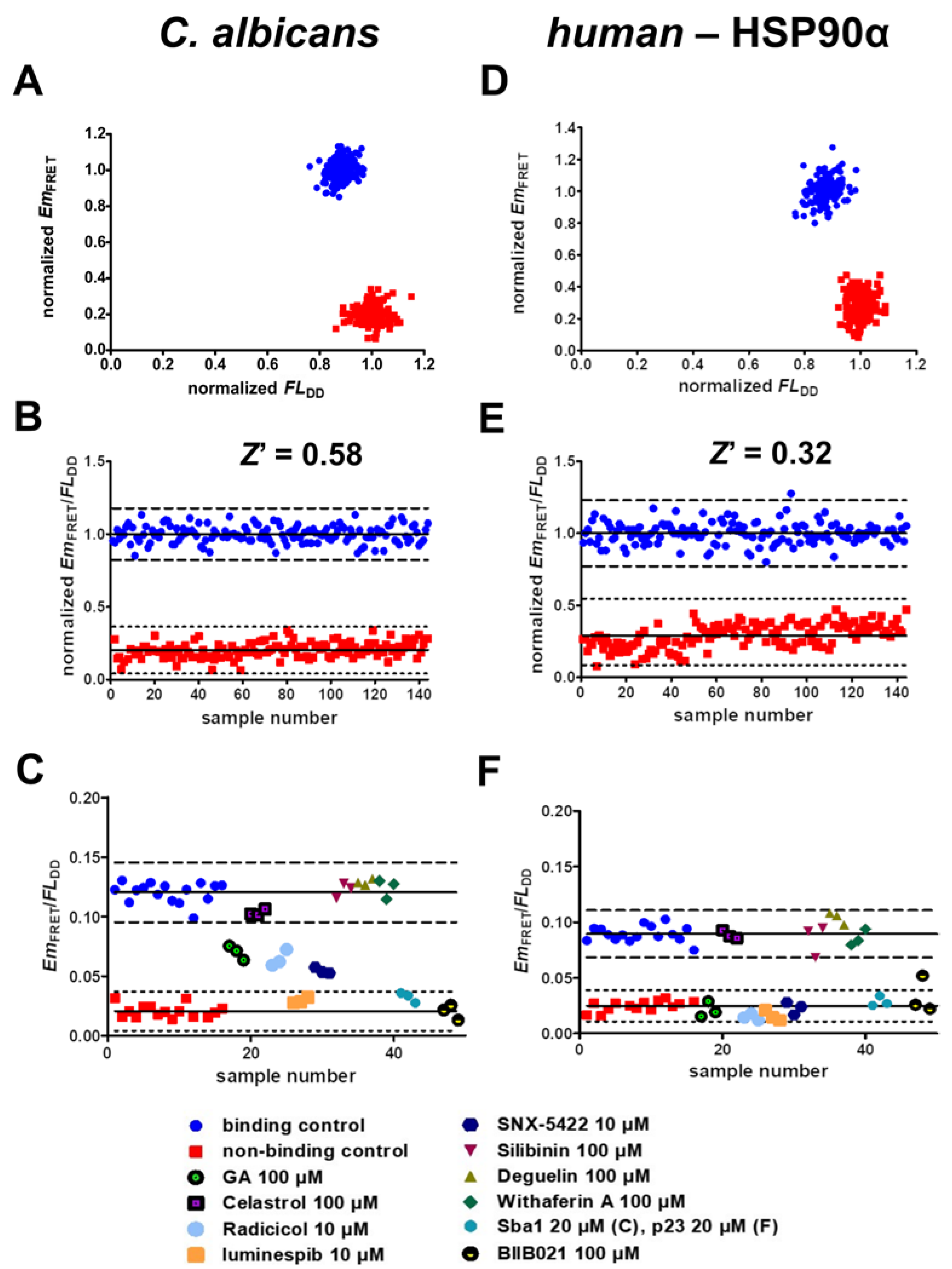 Pharmaceuticals 17 00516 g004