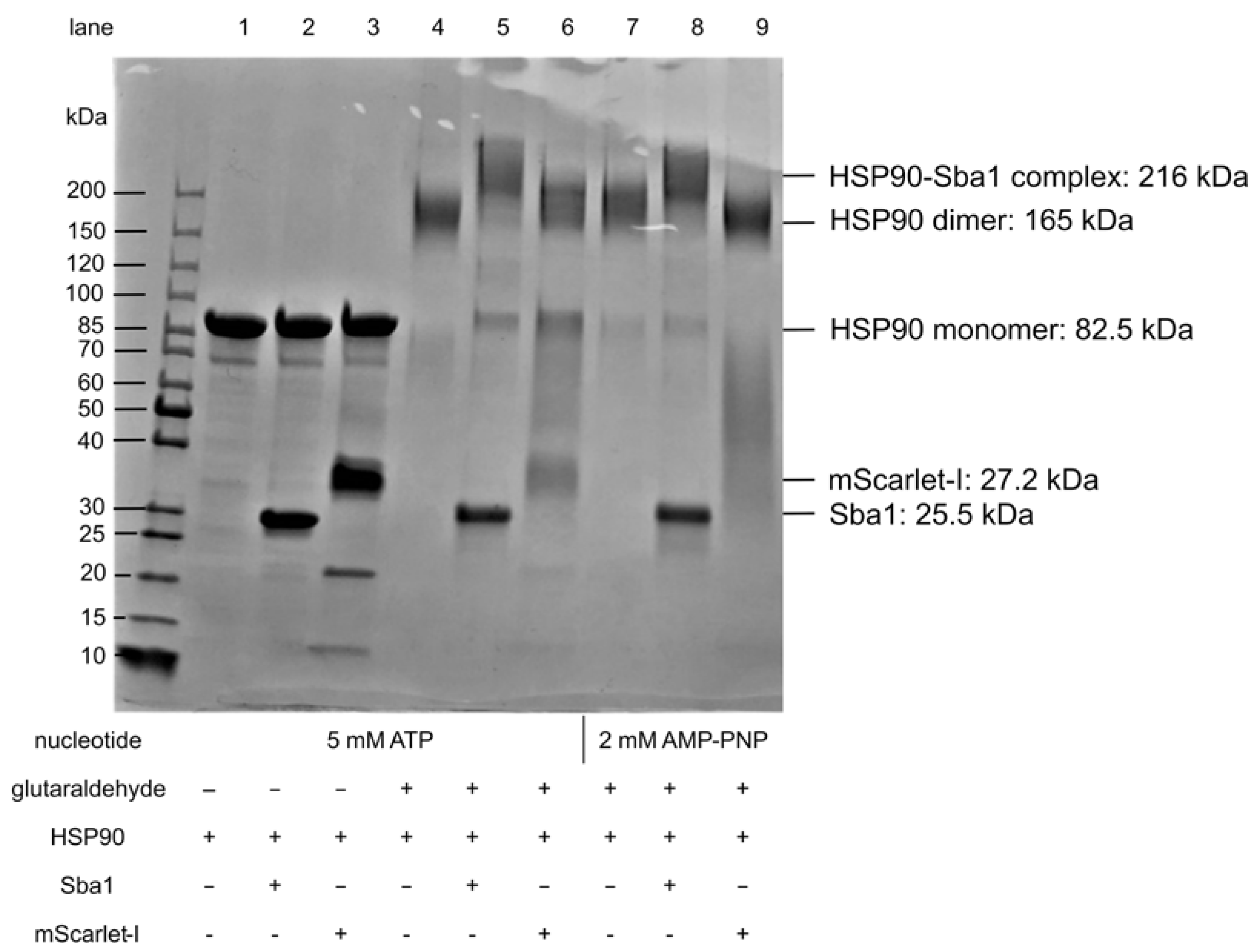Pharmaceuticals 17 00516 g006