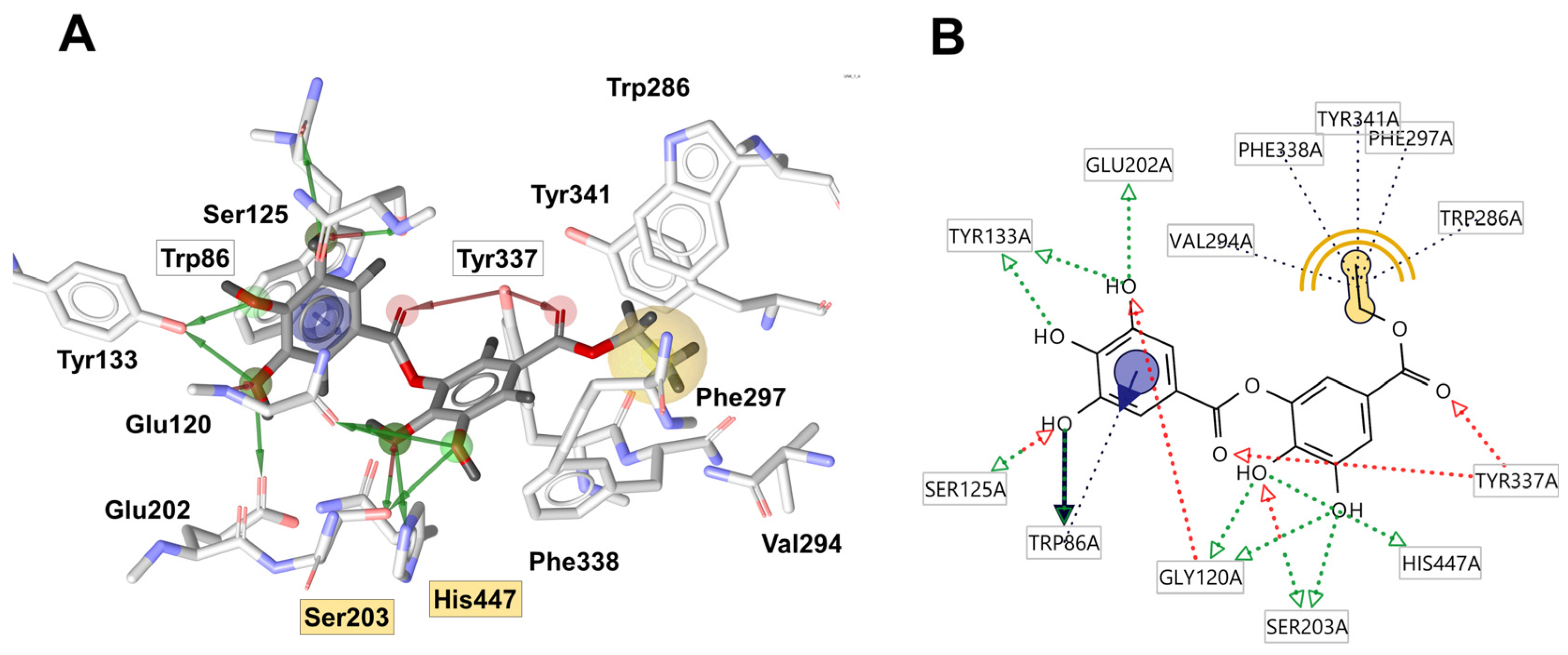 Pharmaceuticals 17 00518 g004