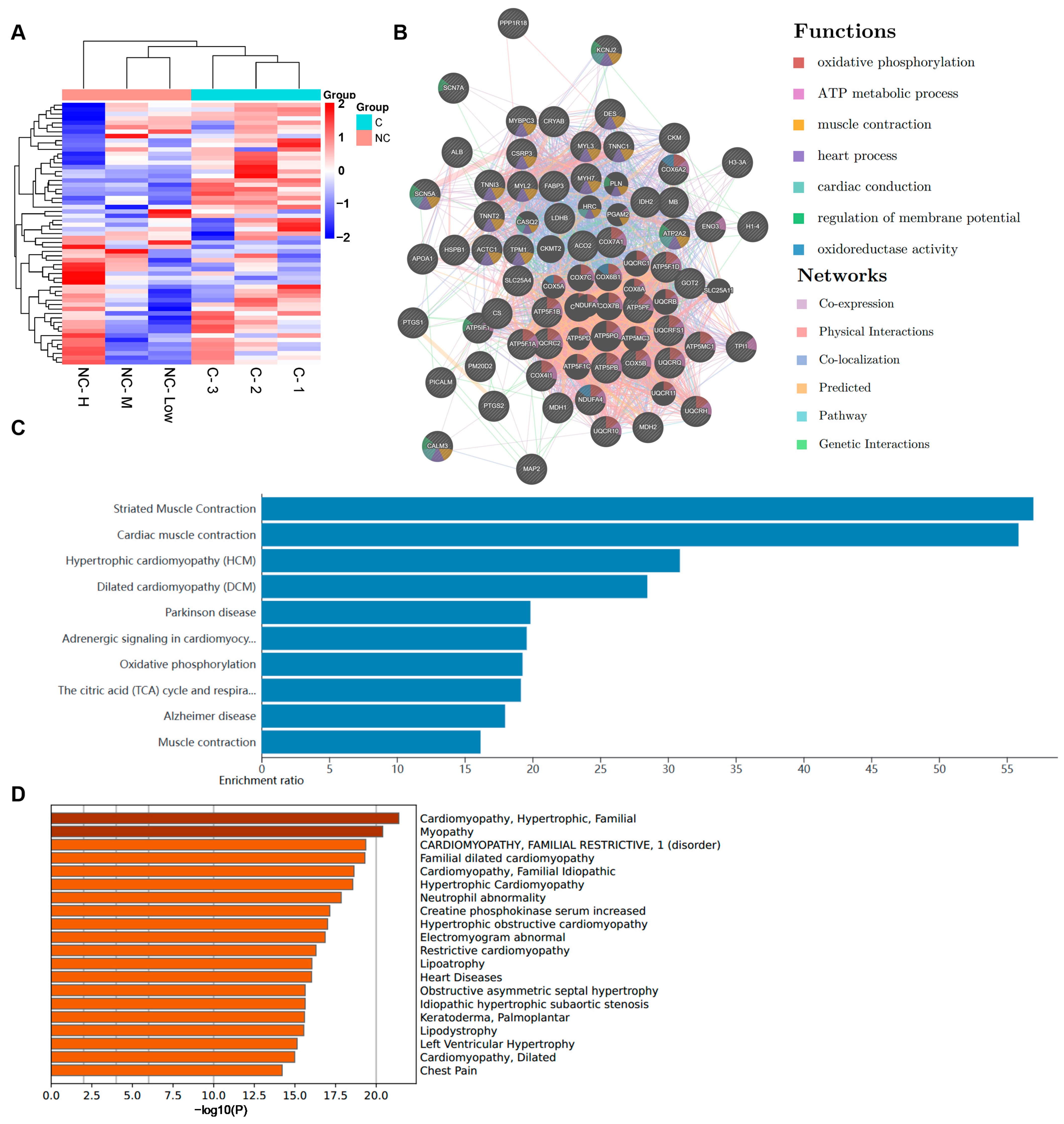 Pharmaceuticals 17 00524 g003