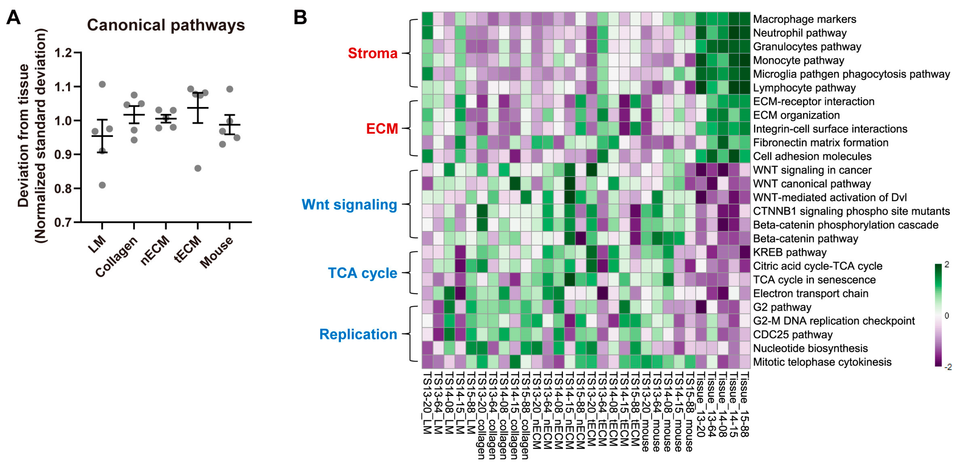 Pharmaceuticals 17 00529 g004