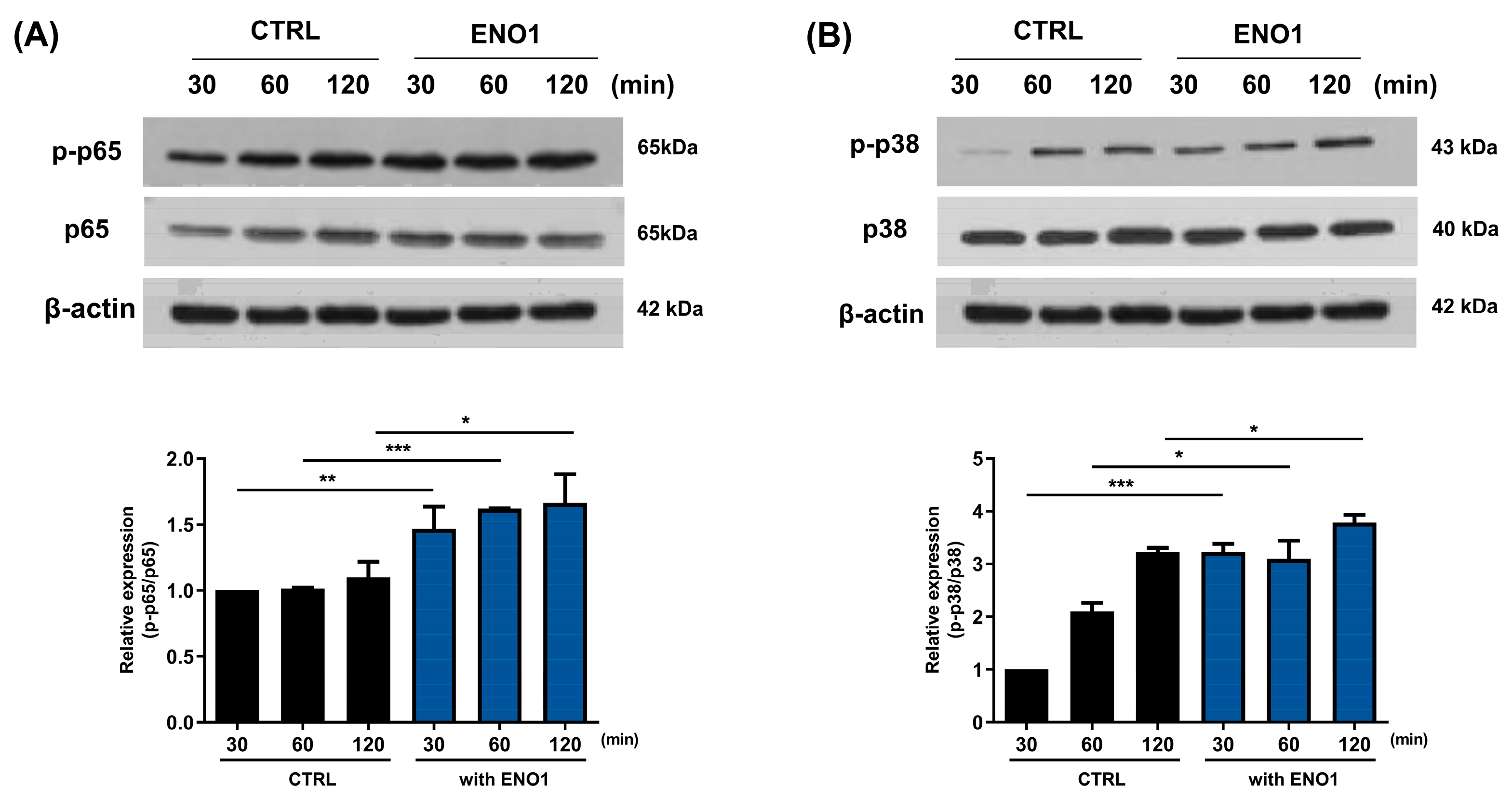 Pharmaceuticals 17 00531 g002