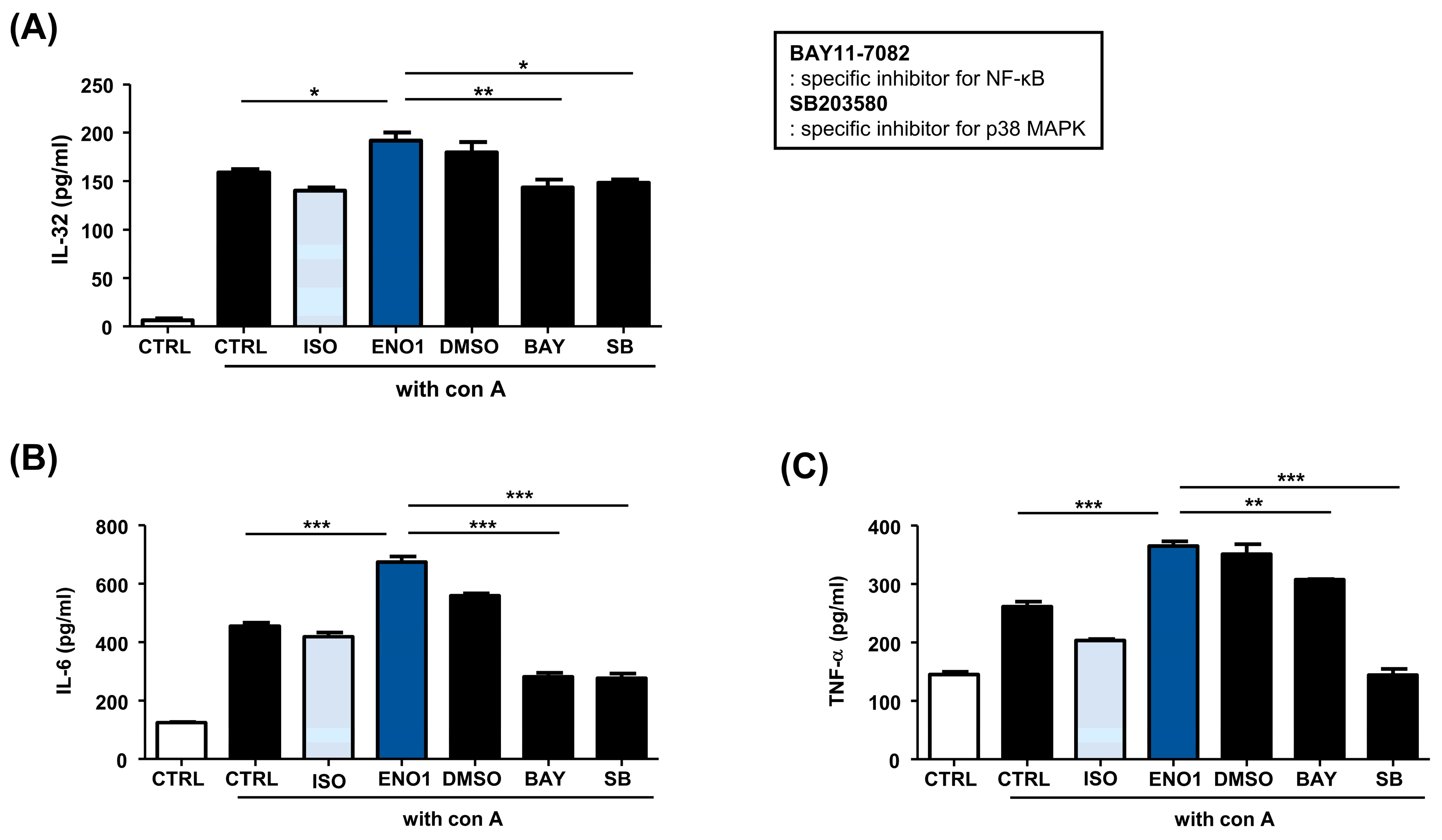 Pharmaceuticals 17 00531 g003