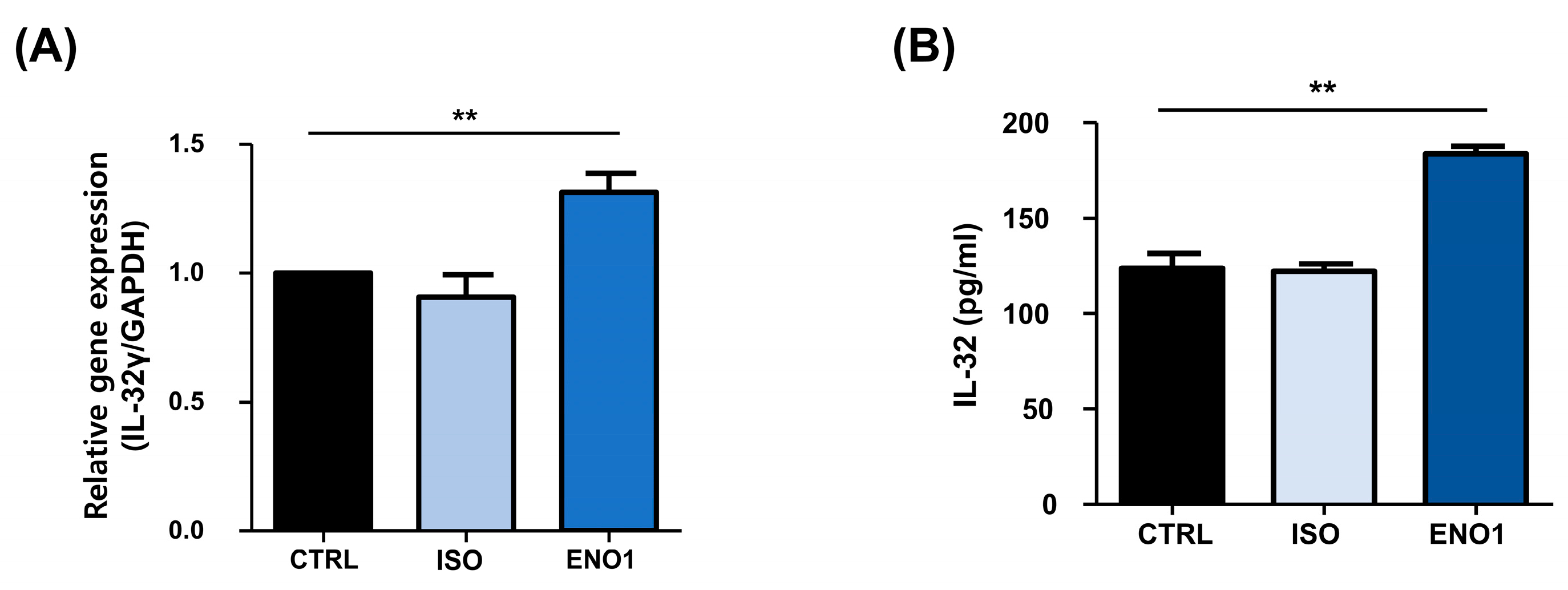 Pharmaceuticals 17 00531 g004