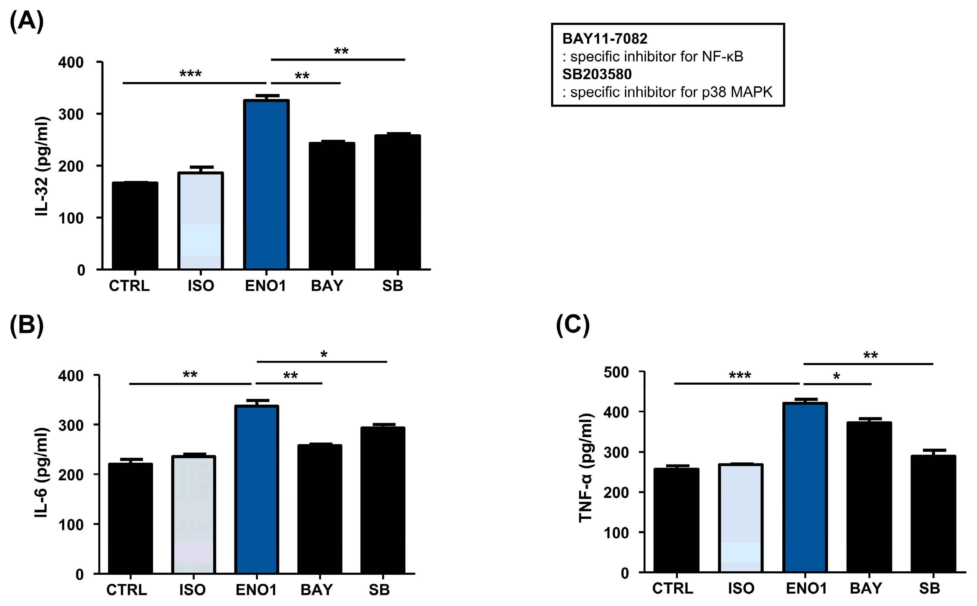 Pharmaceuticals 17 00531 g006