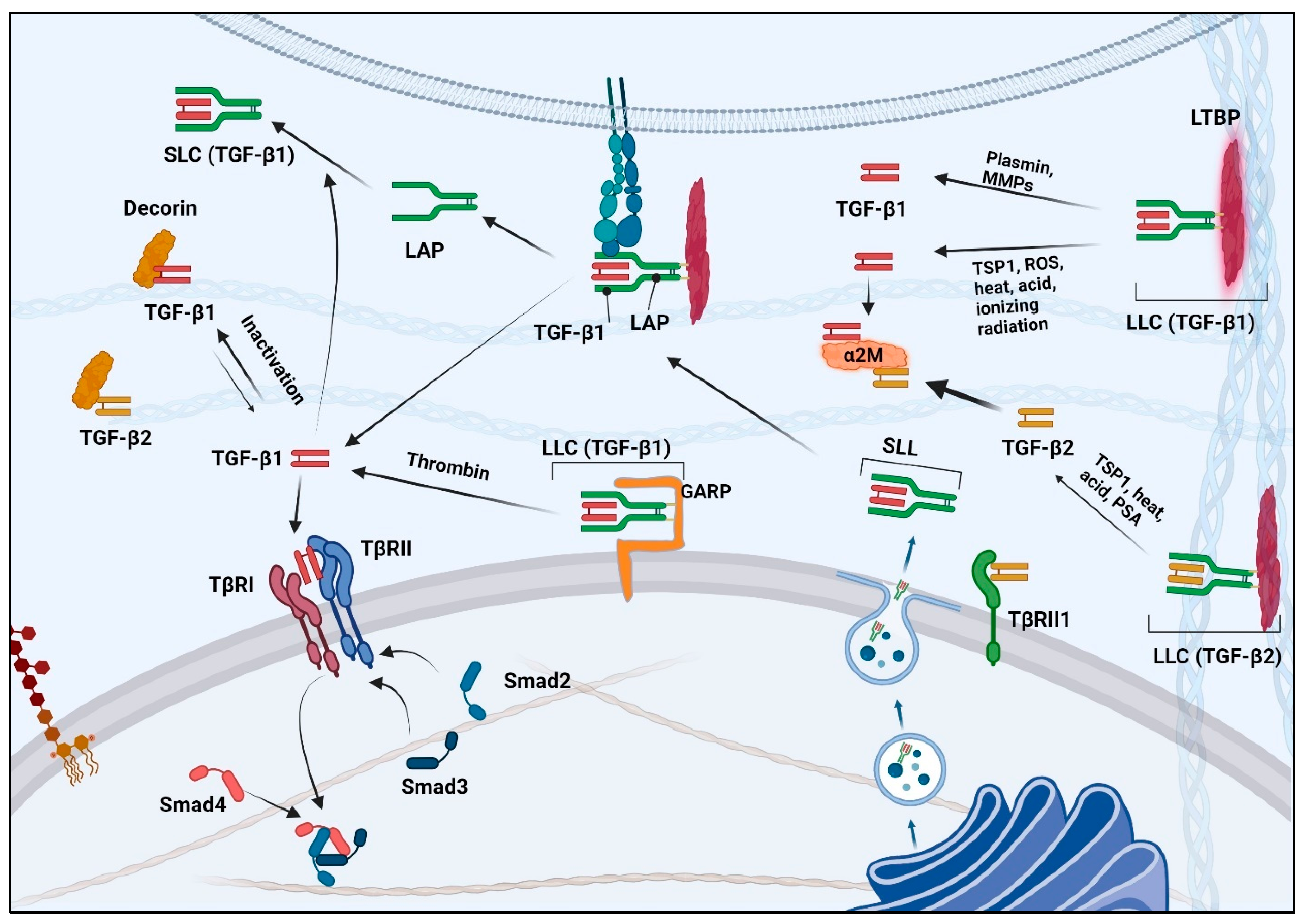 Pharmaceuticals 17 00533 g002 Pharmaceuticals 17 00533 g002