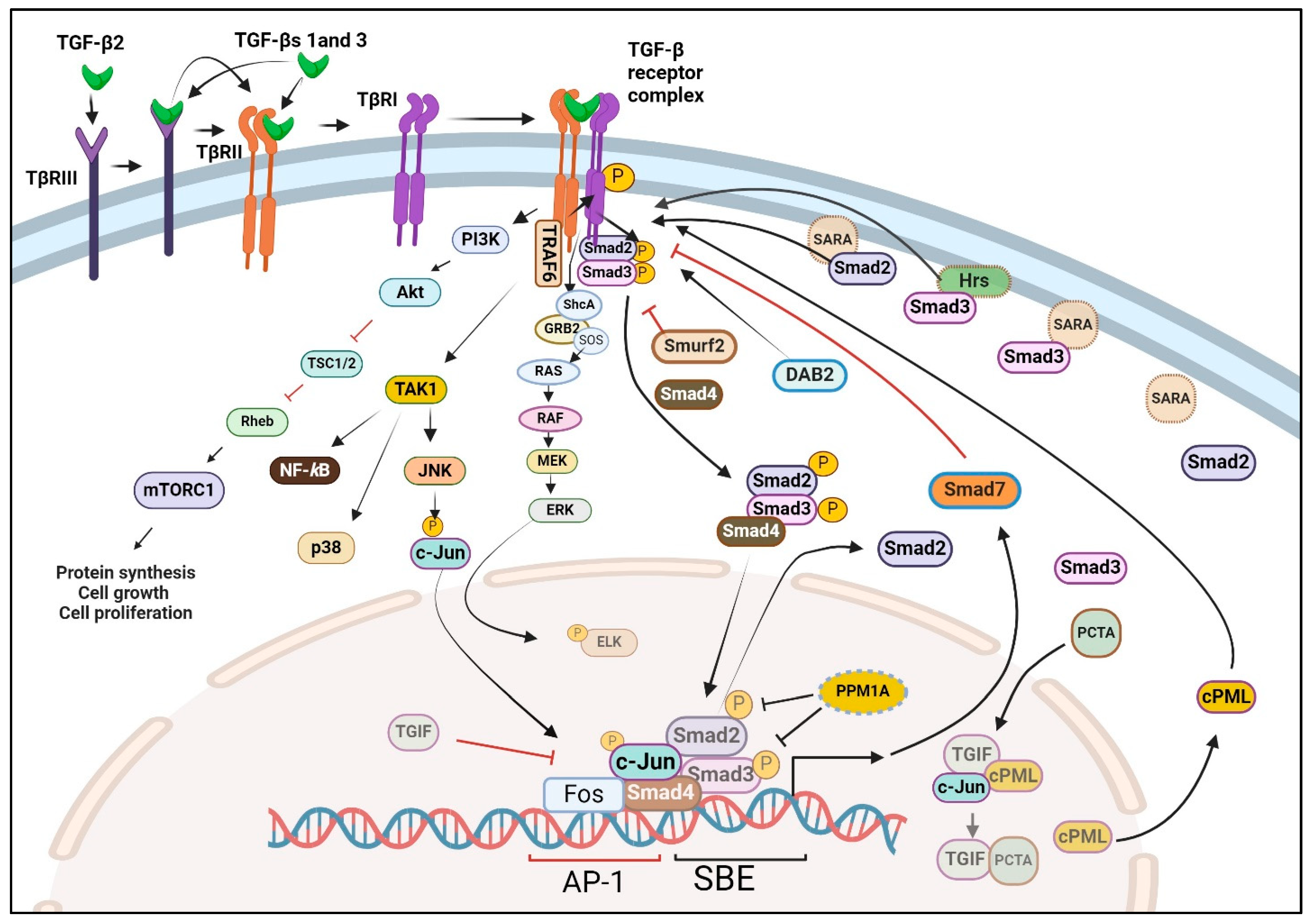 Pharmaceuticals 17 00533 g003 Pharmaceuticals 17 00533 g003