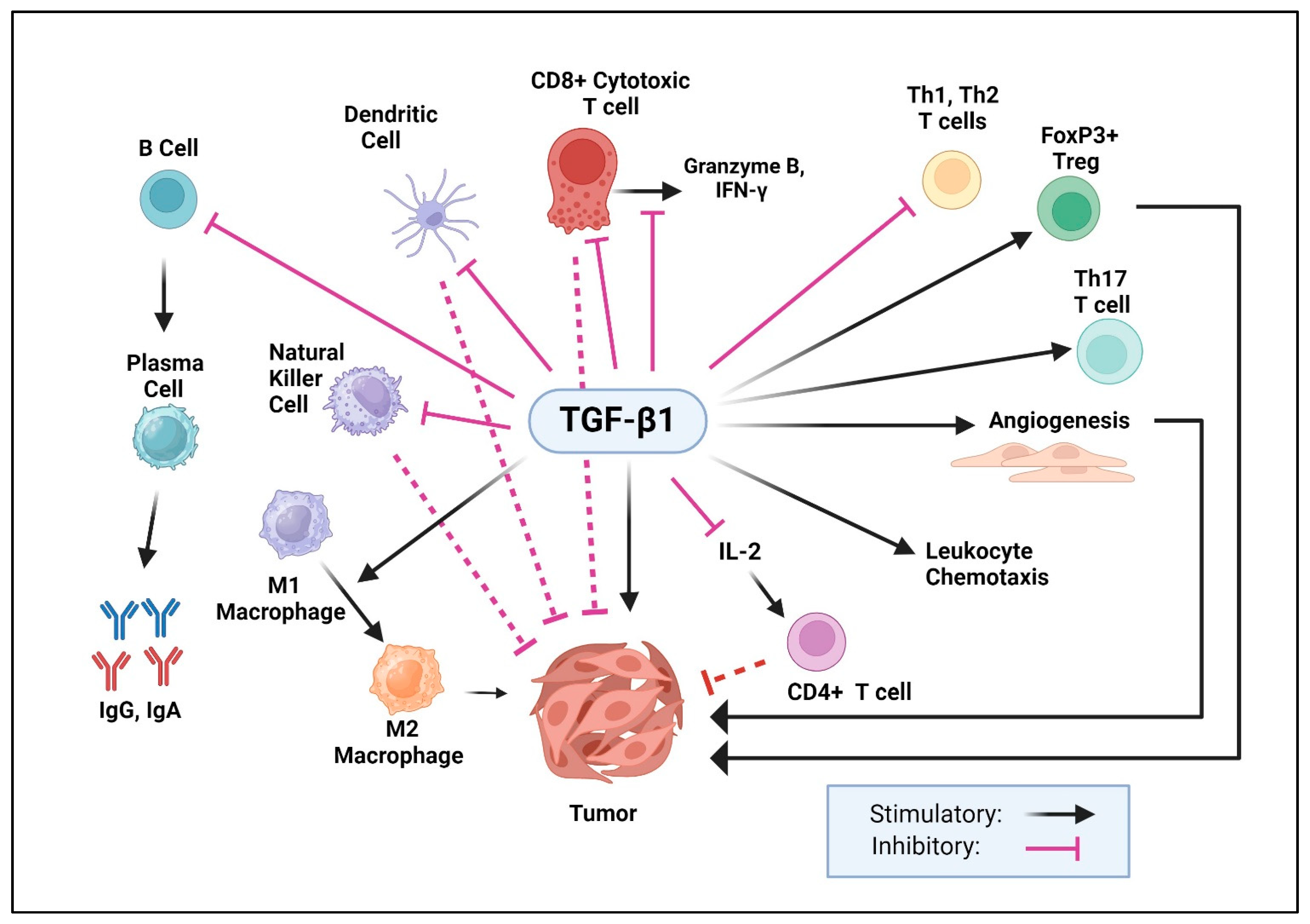 Pharmaceuticals 17 00533 g004 Pharmaceuticals 17 00533 g004