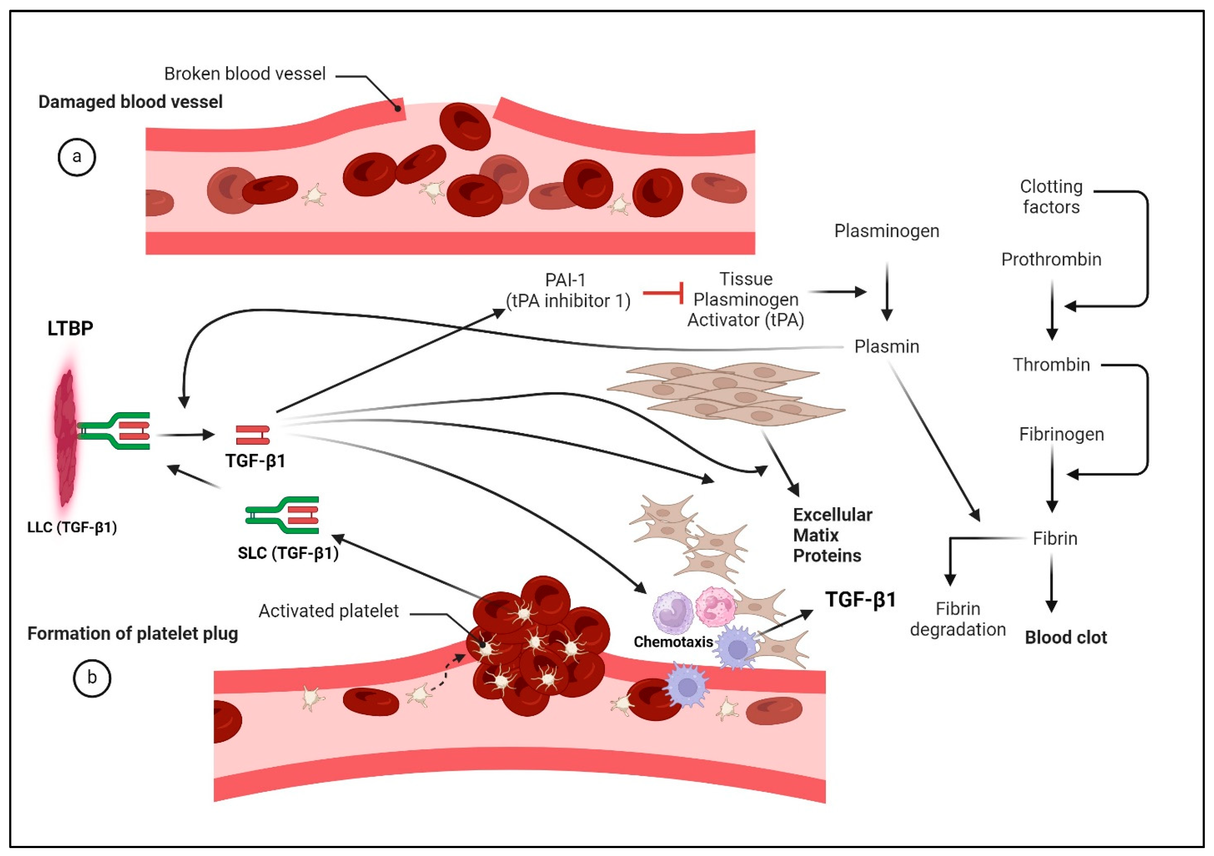 Pharmaceuticals 17 00533 g005 Pharmaceuticals 17 00533 g005