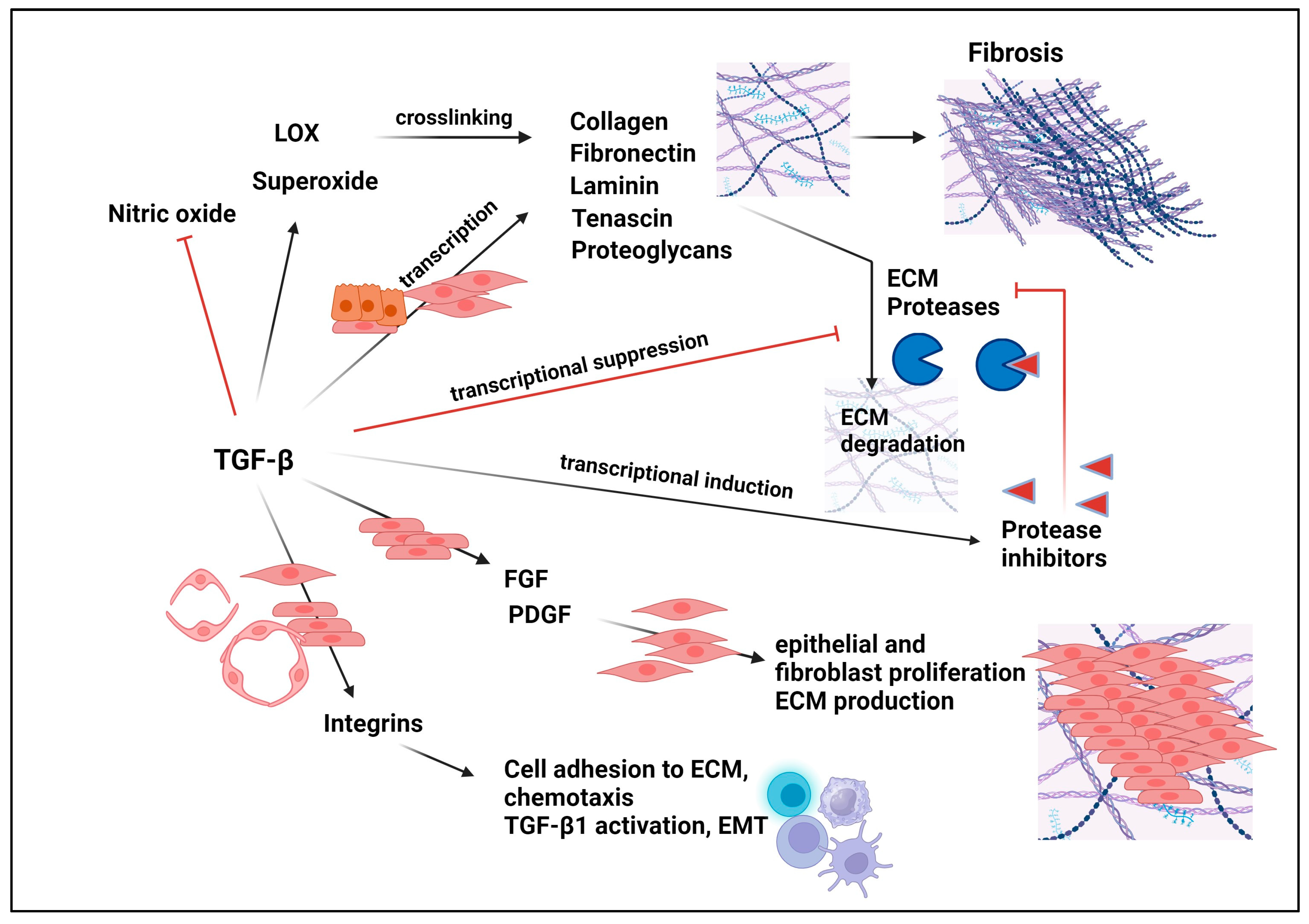 Pharmaceuticals 17 00533 g006 Pharmaceuticals 17 00533 g006