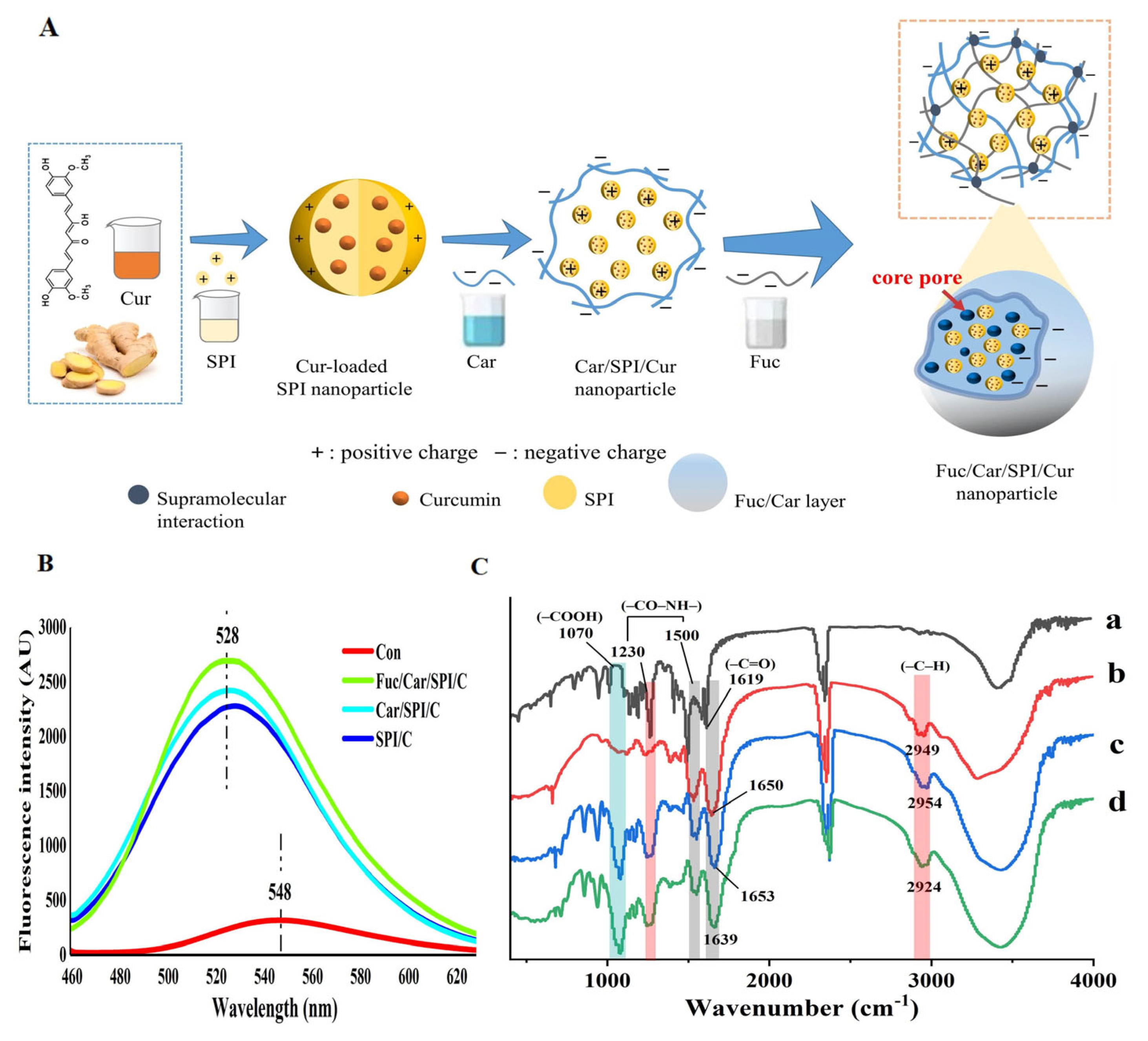 Pharmaceuticals 17 00534 g003 Pharmaceuticals 17 00534 g003