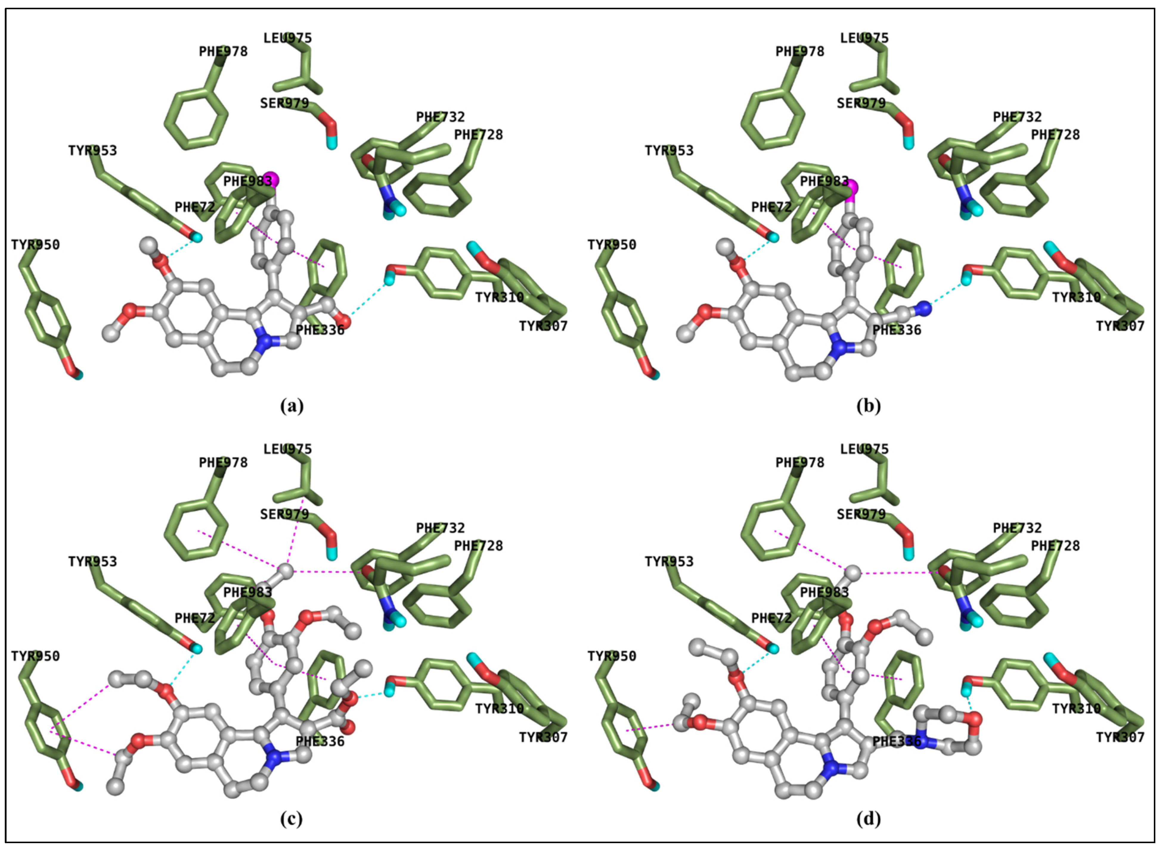 Pharmaceuticals 17 00539 g004