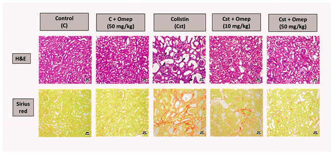 Pharmaceuticals 17 00540 i001