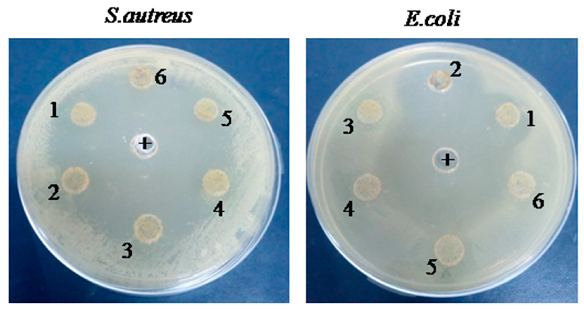 Pharmaceuticals 17 00545 g001