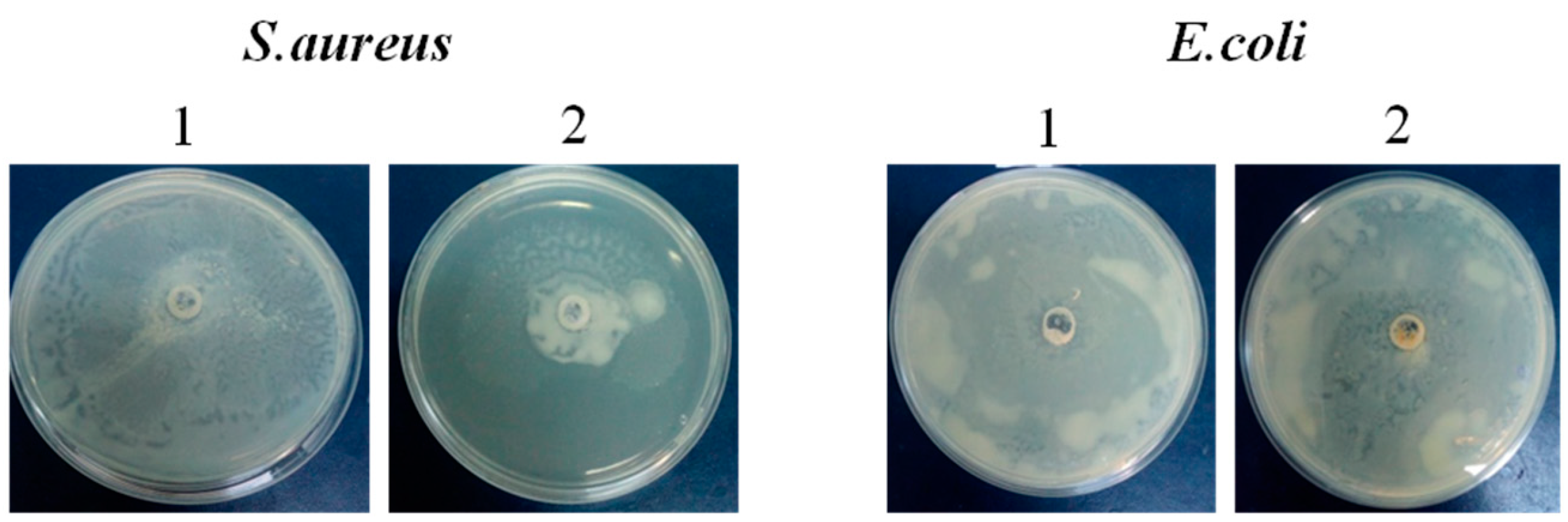Pharmaceuticals 17 00545 g004