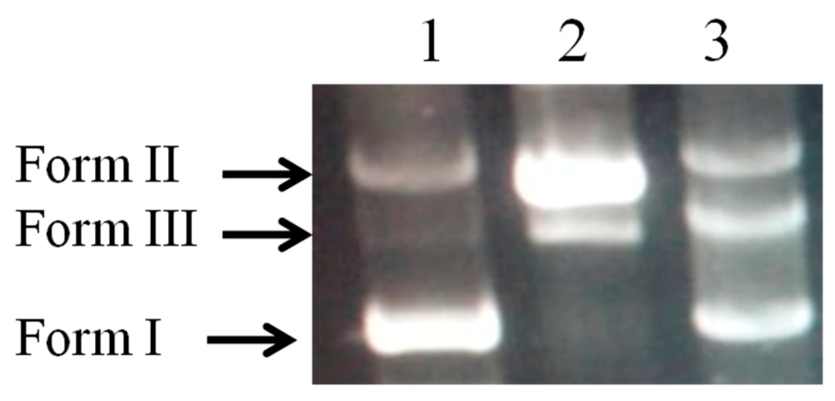 Pharmaceuticals 17 00545 g007
