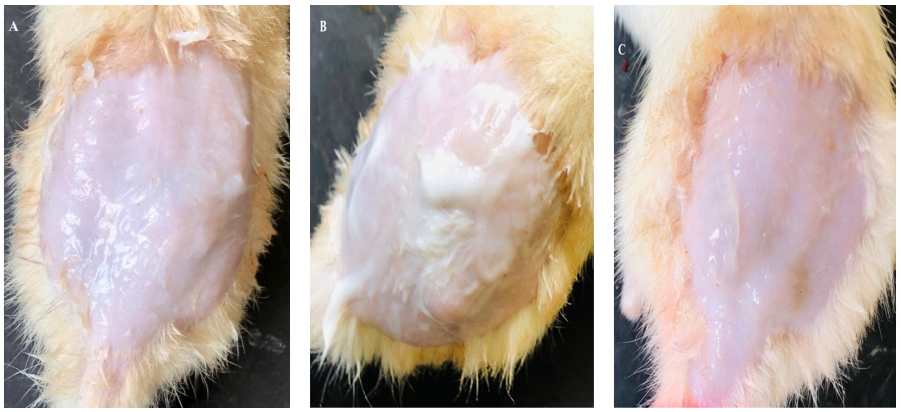 Pharmaceuticals 17 00546 g001