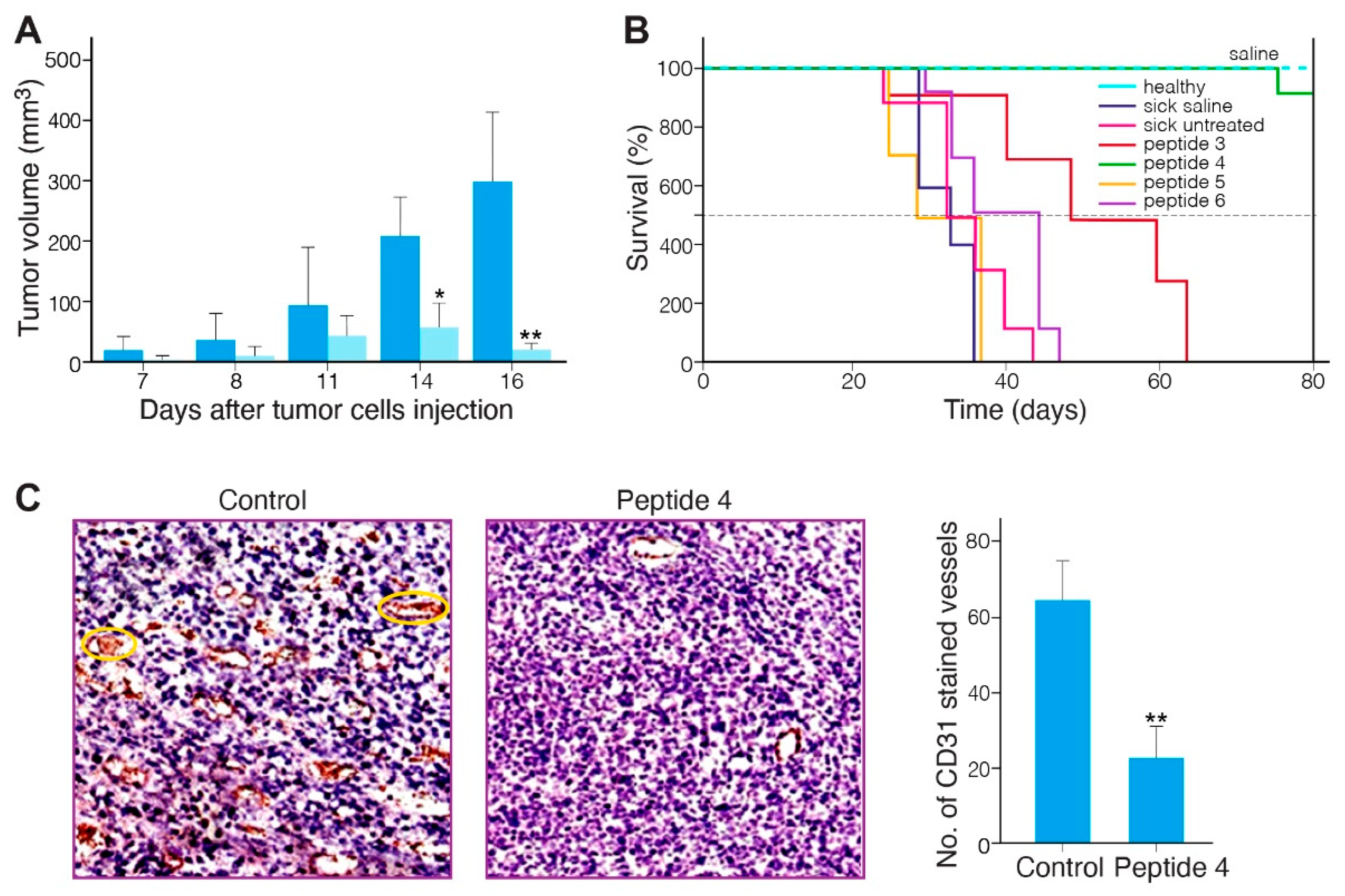 Pharmaceuticals 17 00549 g003