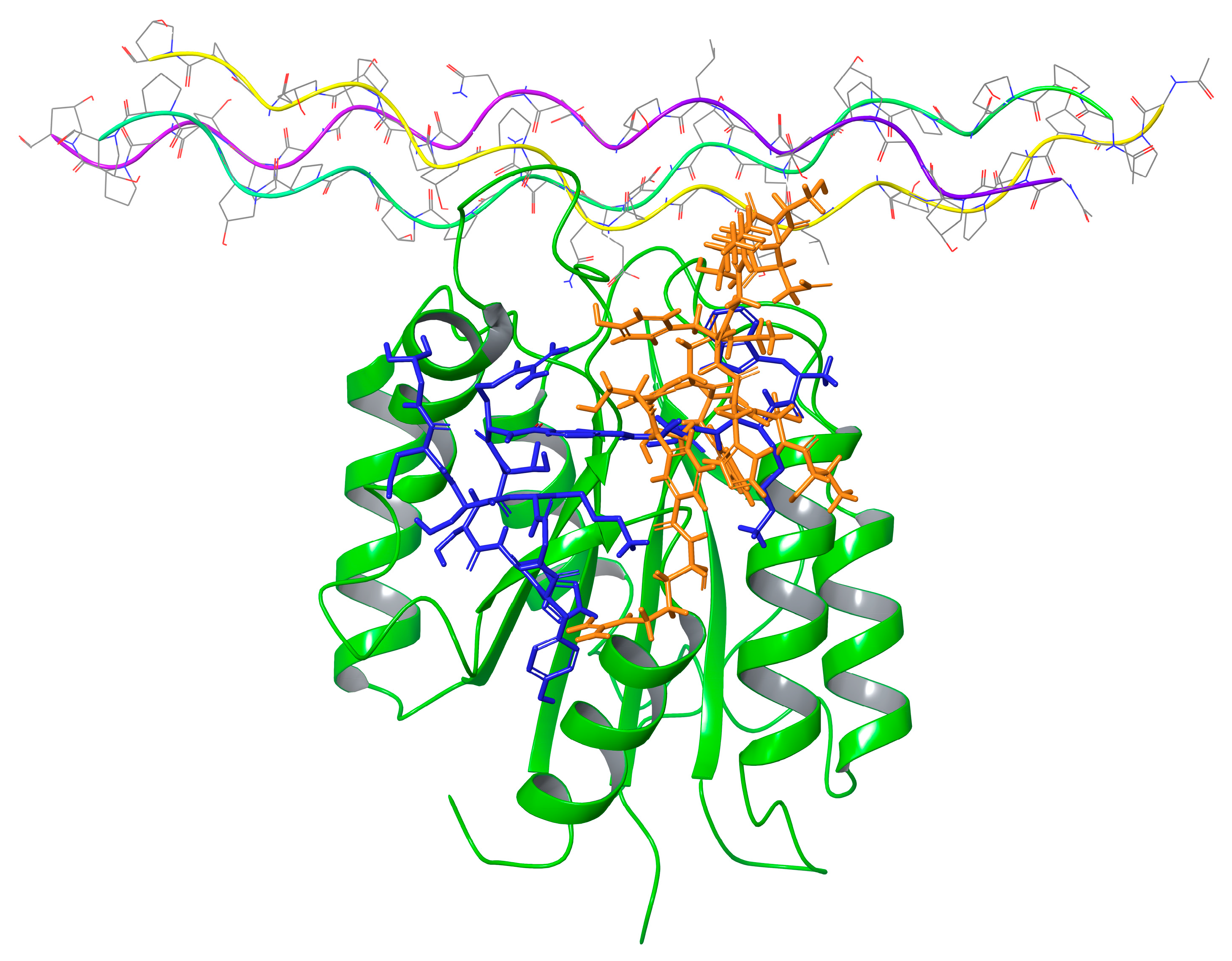 Pharmaceuticals 17 00549 g005