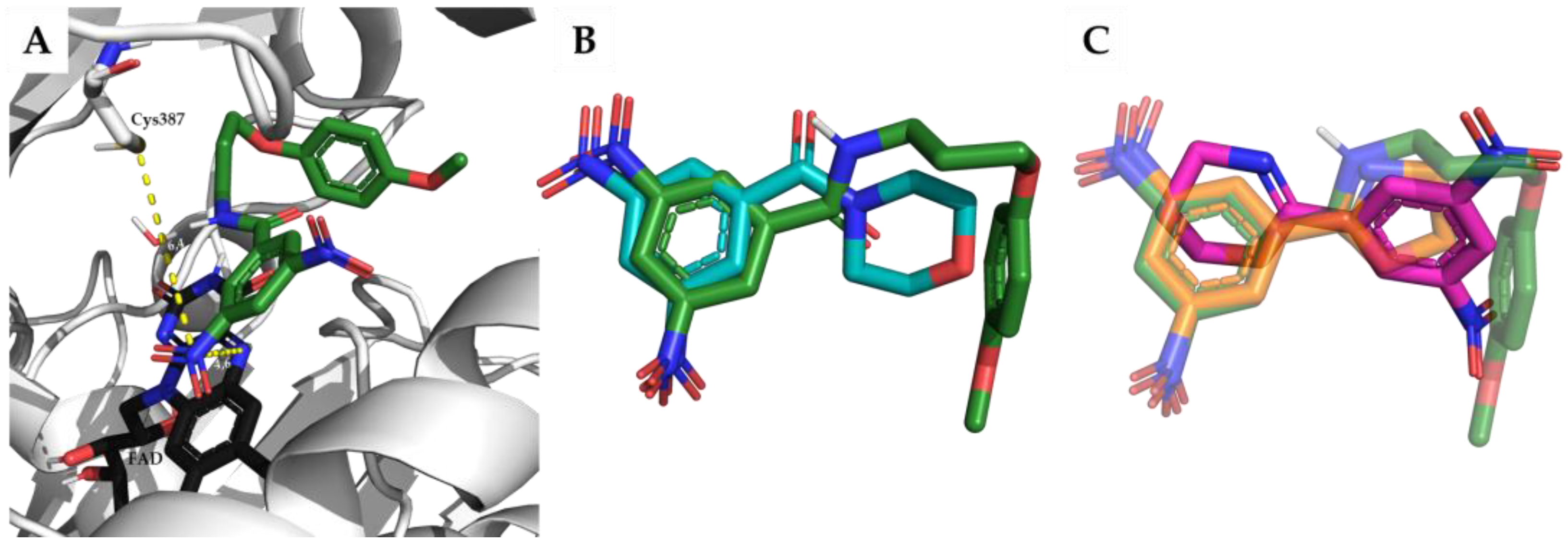Pharmaceuticals 17 00559 g004