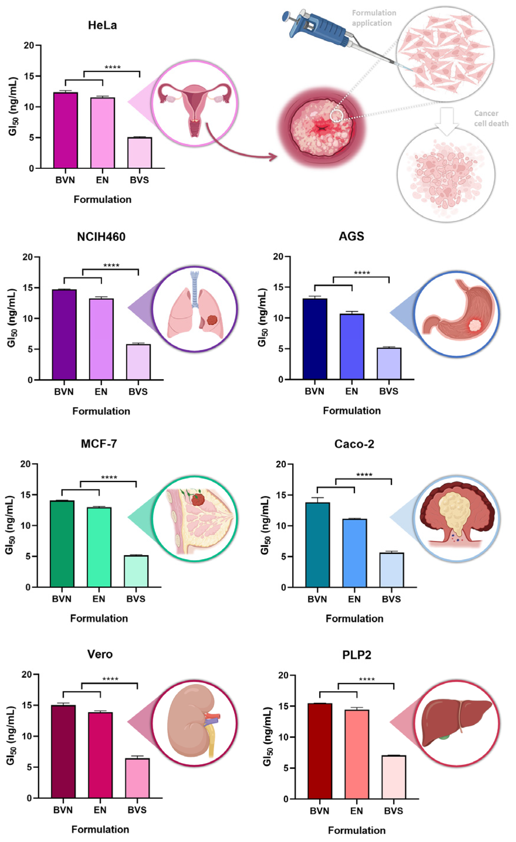 Pharmaceuticals 17 00572 g004