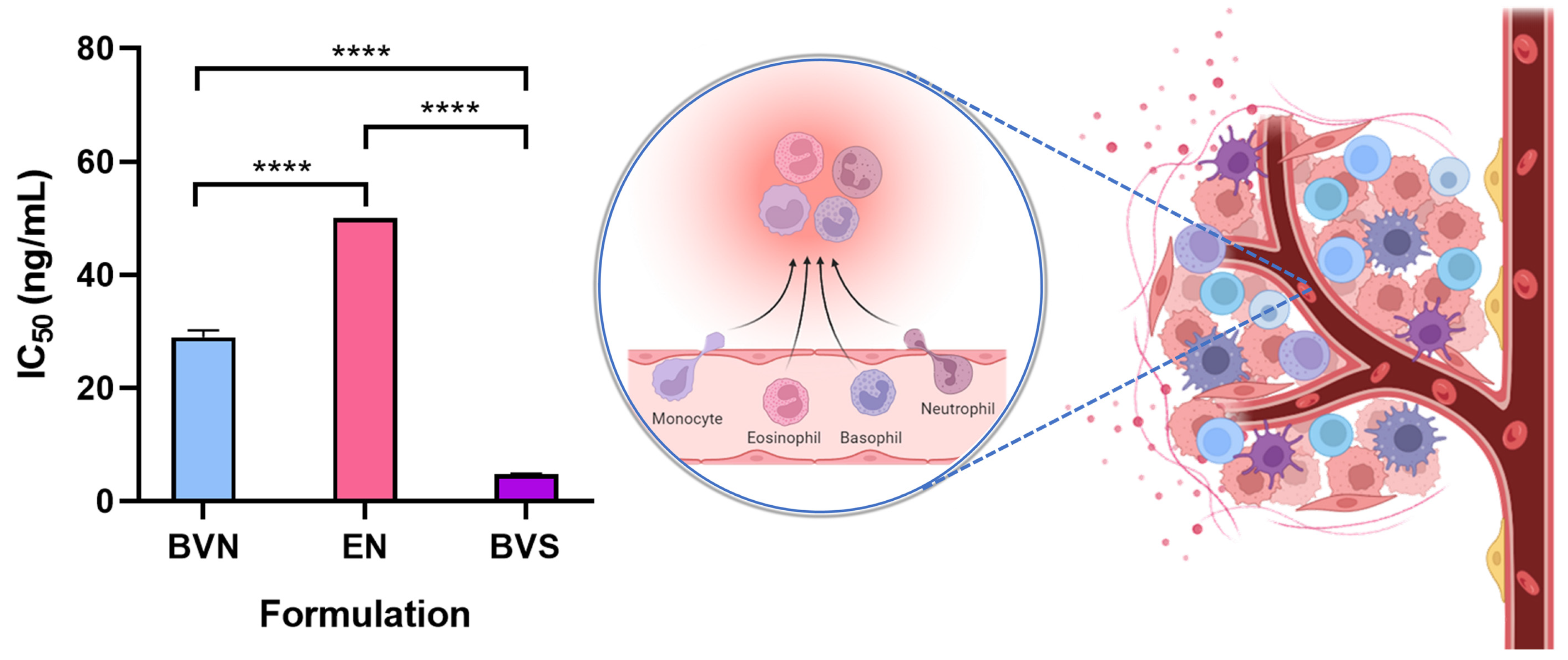 Pharmaceuticals 17 00572 g005