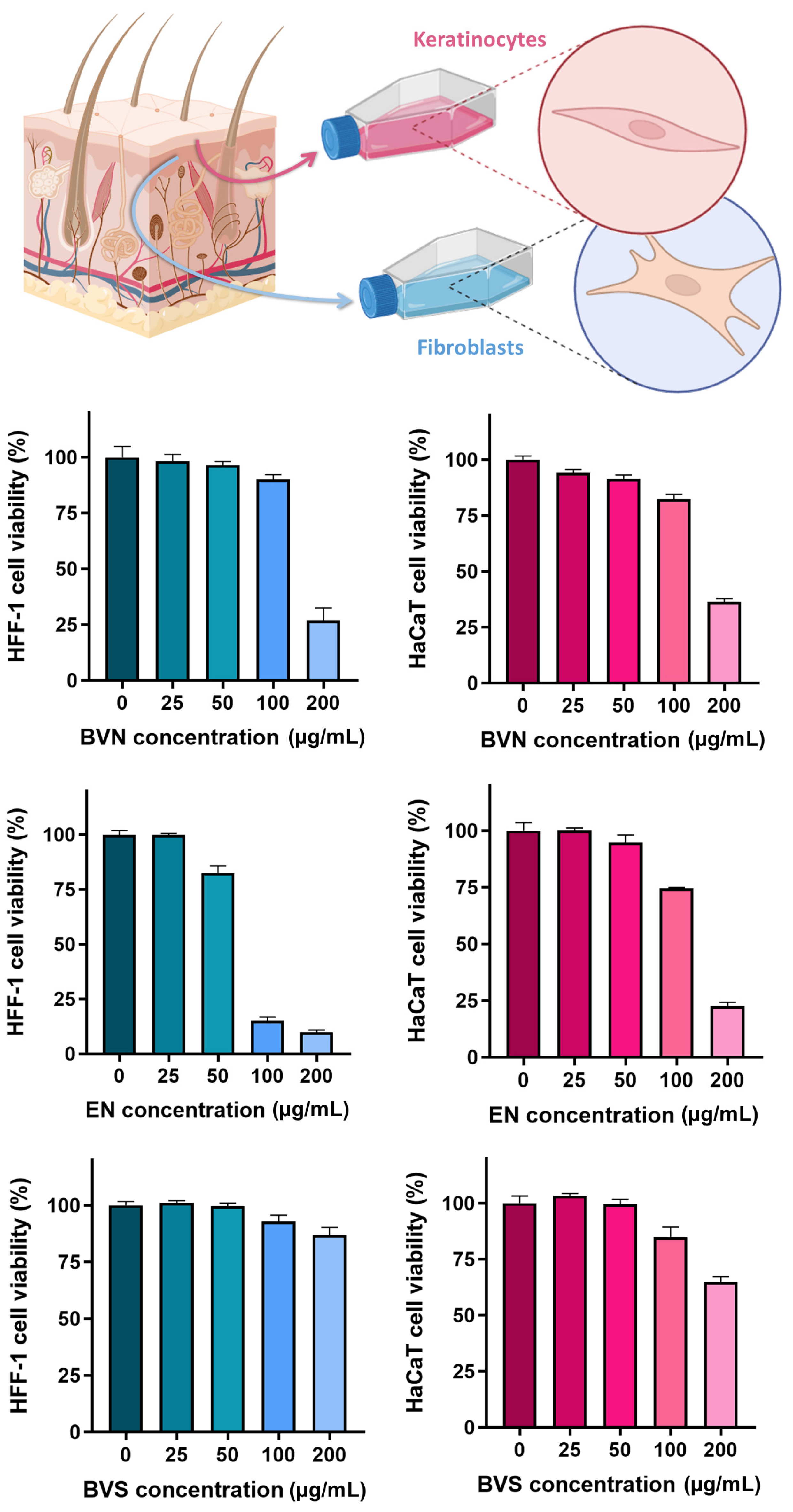 Pharmaceuticals 17 00572 g006