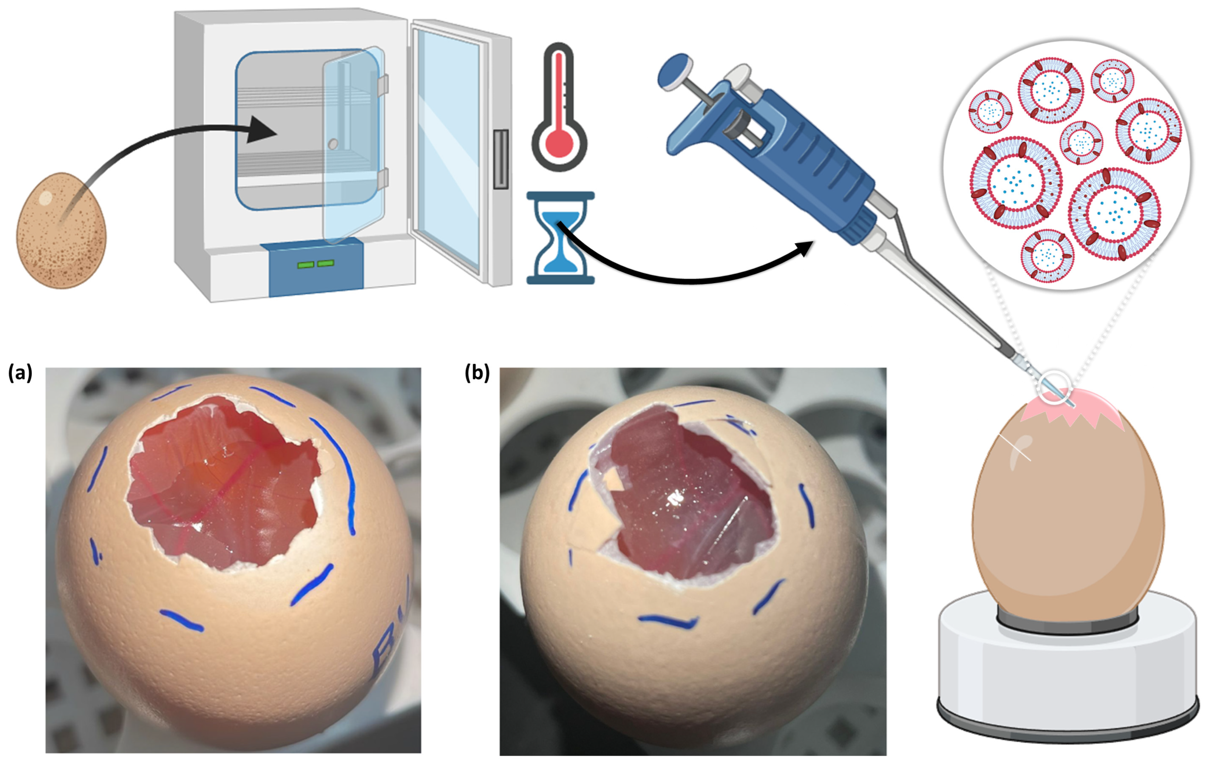 Pharmaceuticals 17 00572 g007